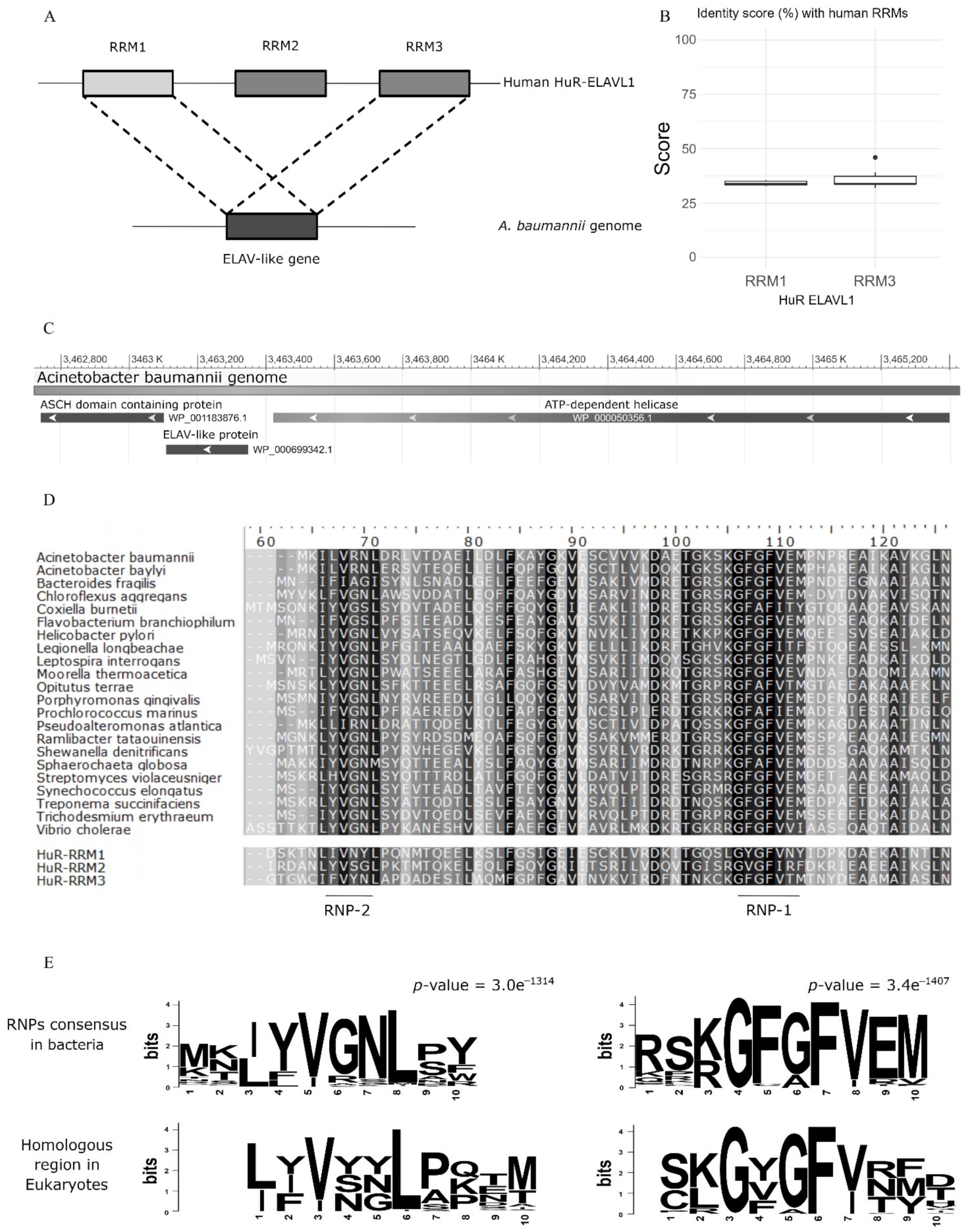 Biomolecules 12 00922 g001 Biomolecules 12 00922 g001
