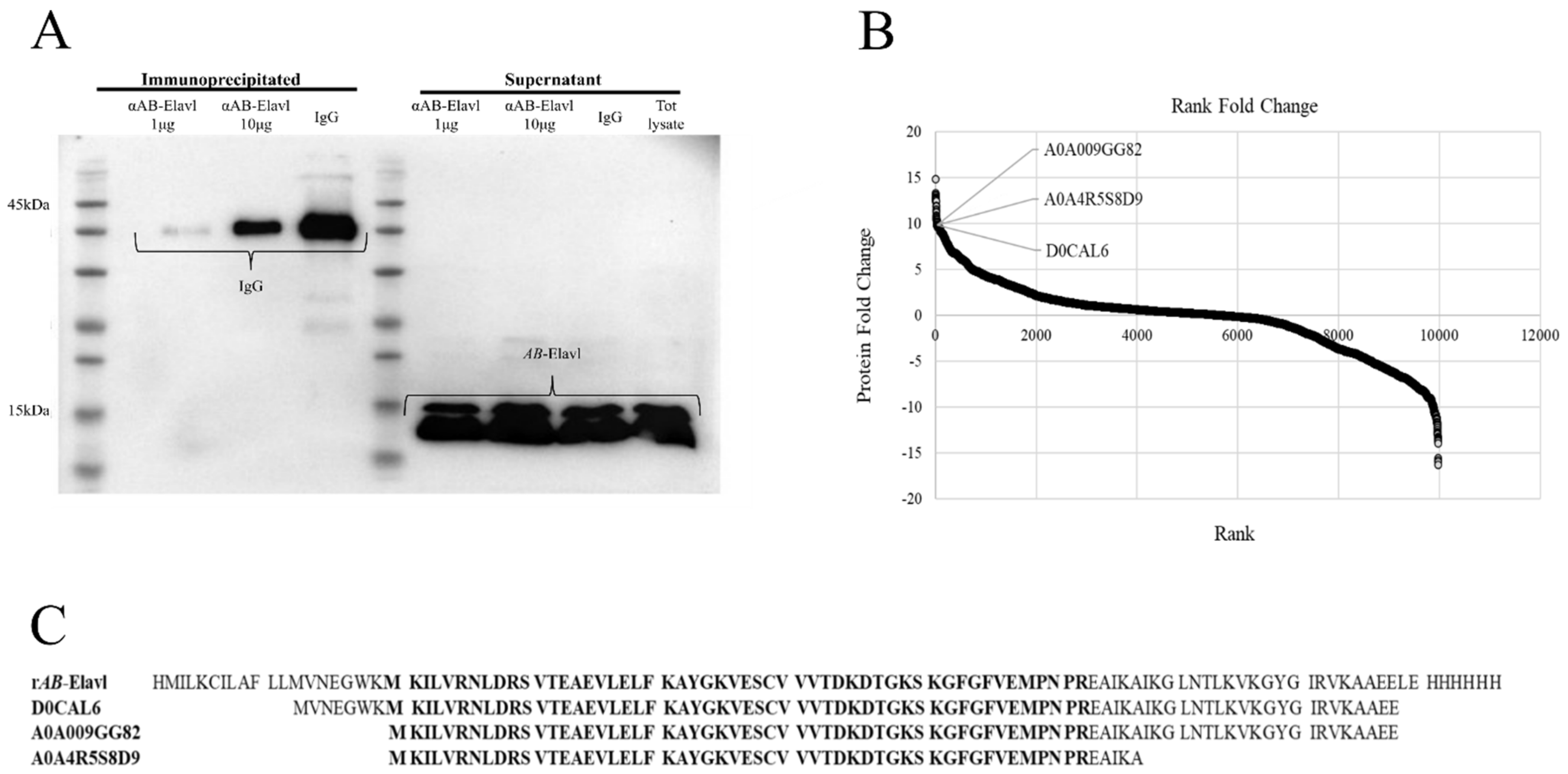 Biomolecules 12 00922 g003 Biomolecules 12 00922 g003