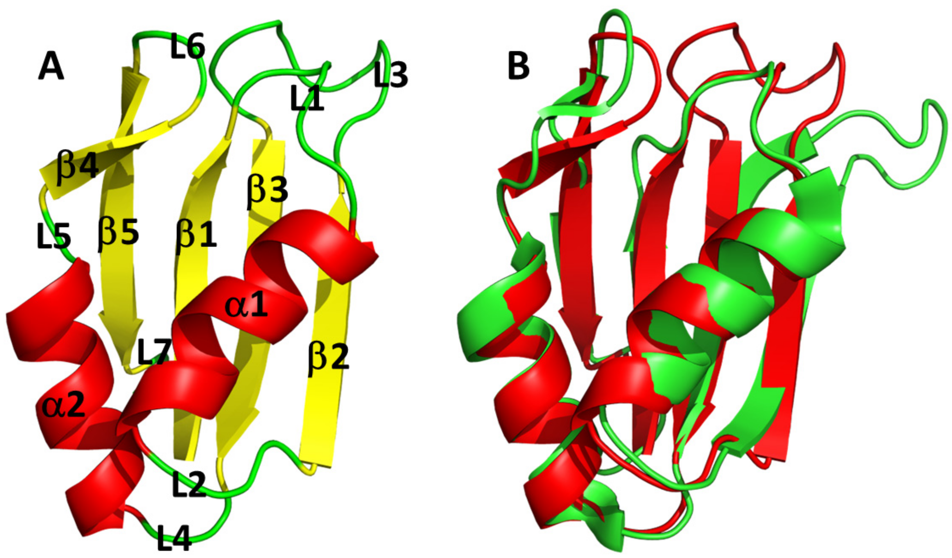 Biomolecules 12 00922 g004 Biomolecules 12 00922 g004