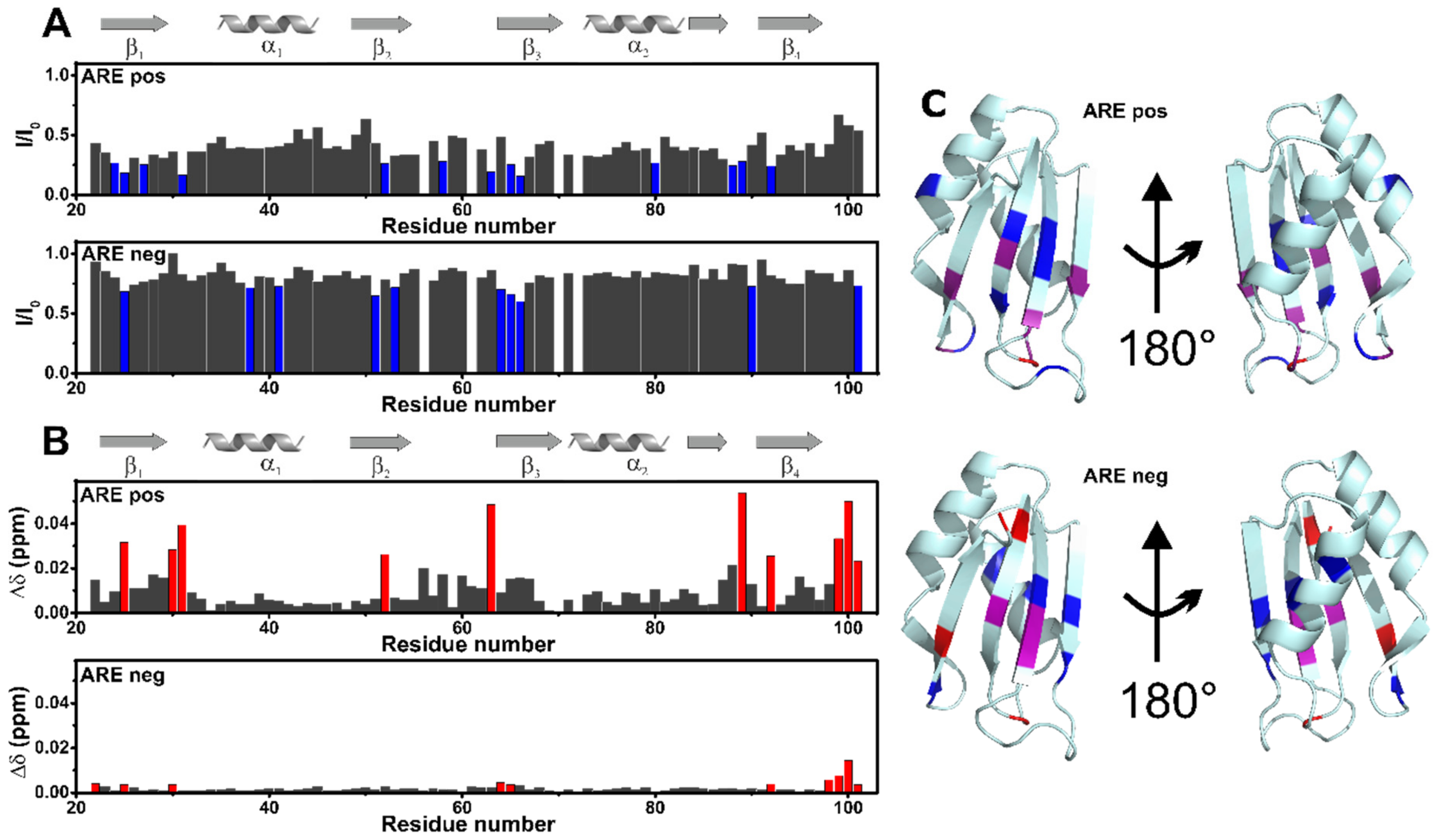 Biomolecules 12 00922 g007 Biomolecules 12 00922 g007