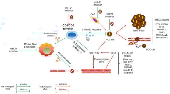 Biomolecules 12 00930 g001