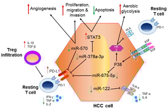 Biomolecules 12 00930 g002