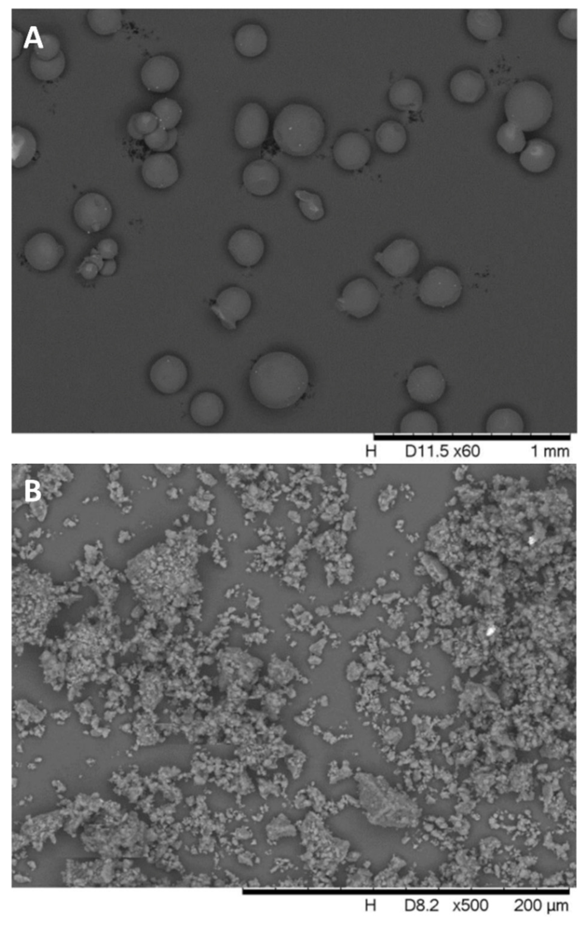 Biomolecules 12 00931 g003