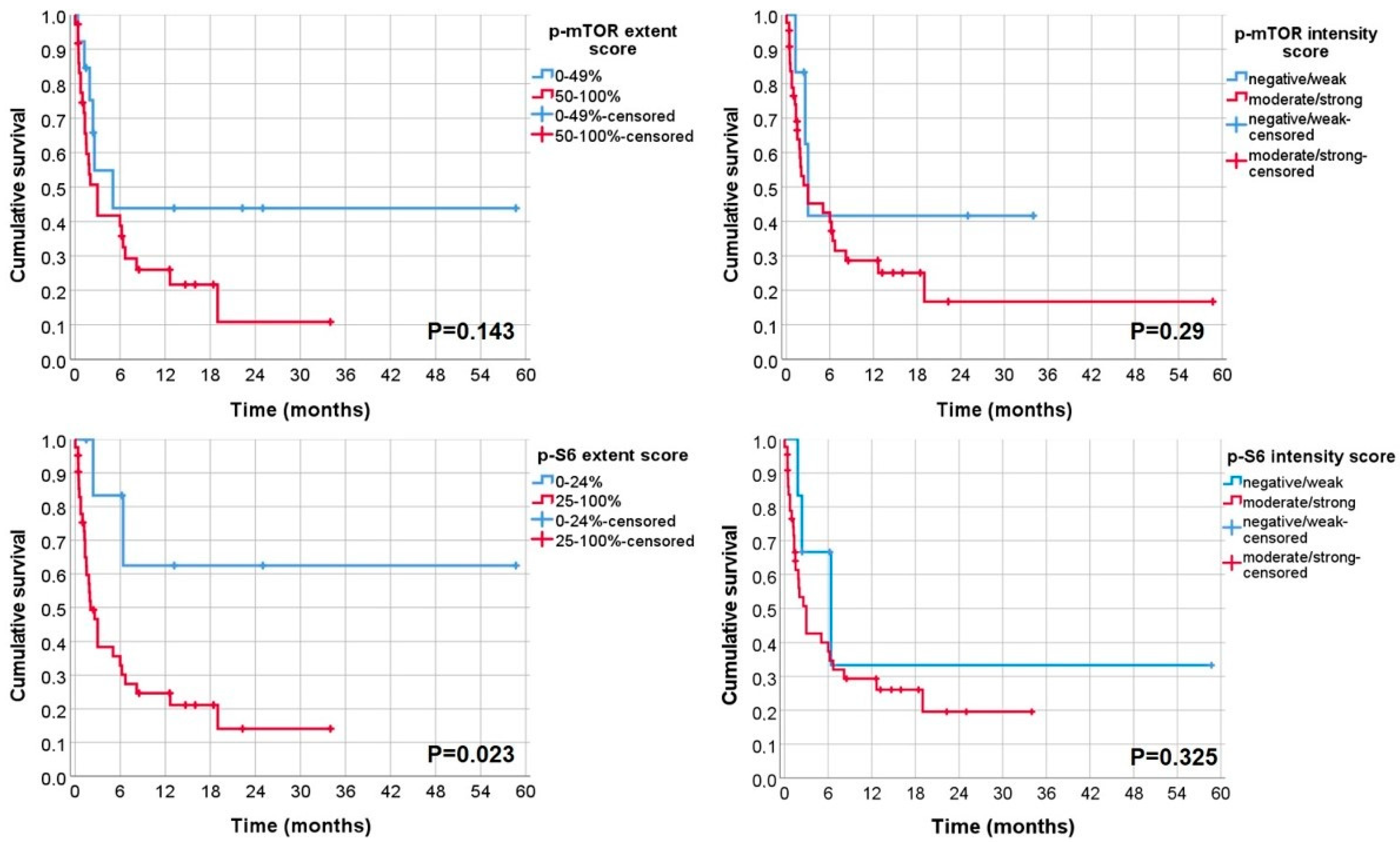 Biomolecules 12 00935 g004 Biomolecules 12 00935 g004