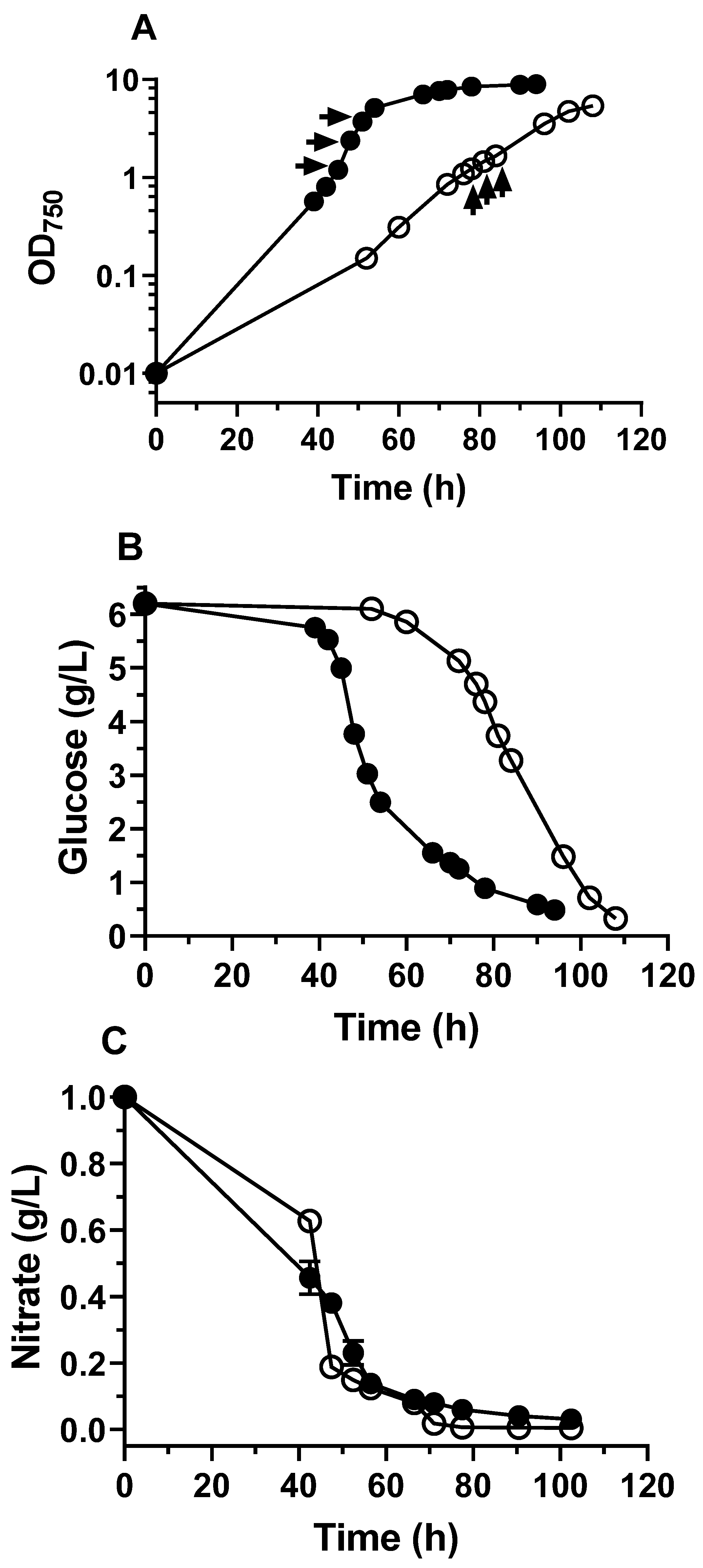 Biomolecules 12 00939 g001