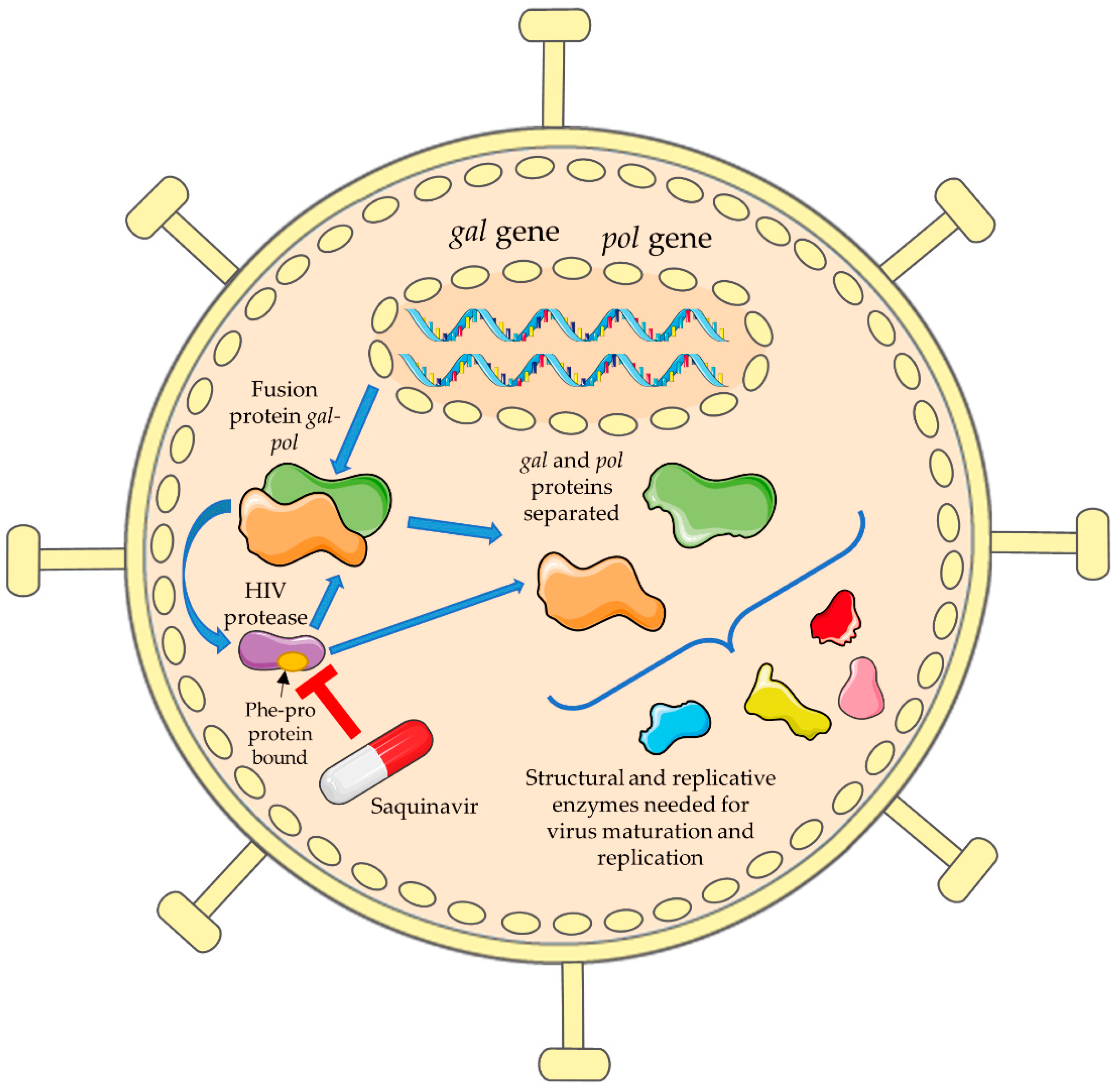 Biomolecules 12 00944 g002 Biomolecules 12 00944 g002