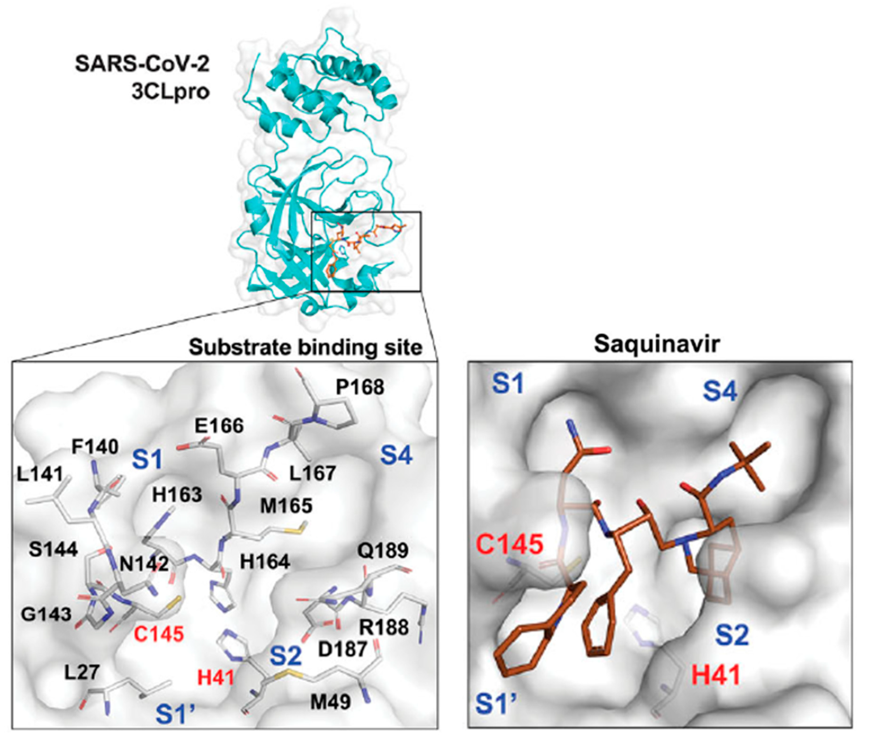 Biomolecules 12 00944 g003 Biomolecules 12 00944 g003