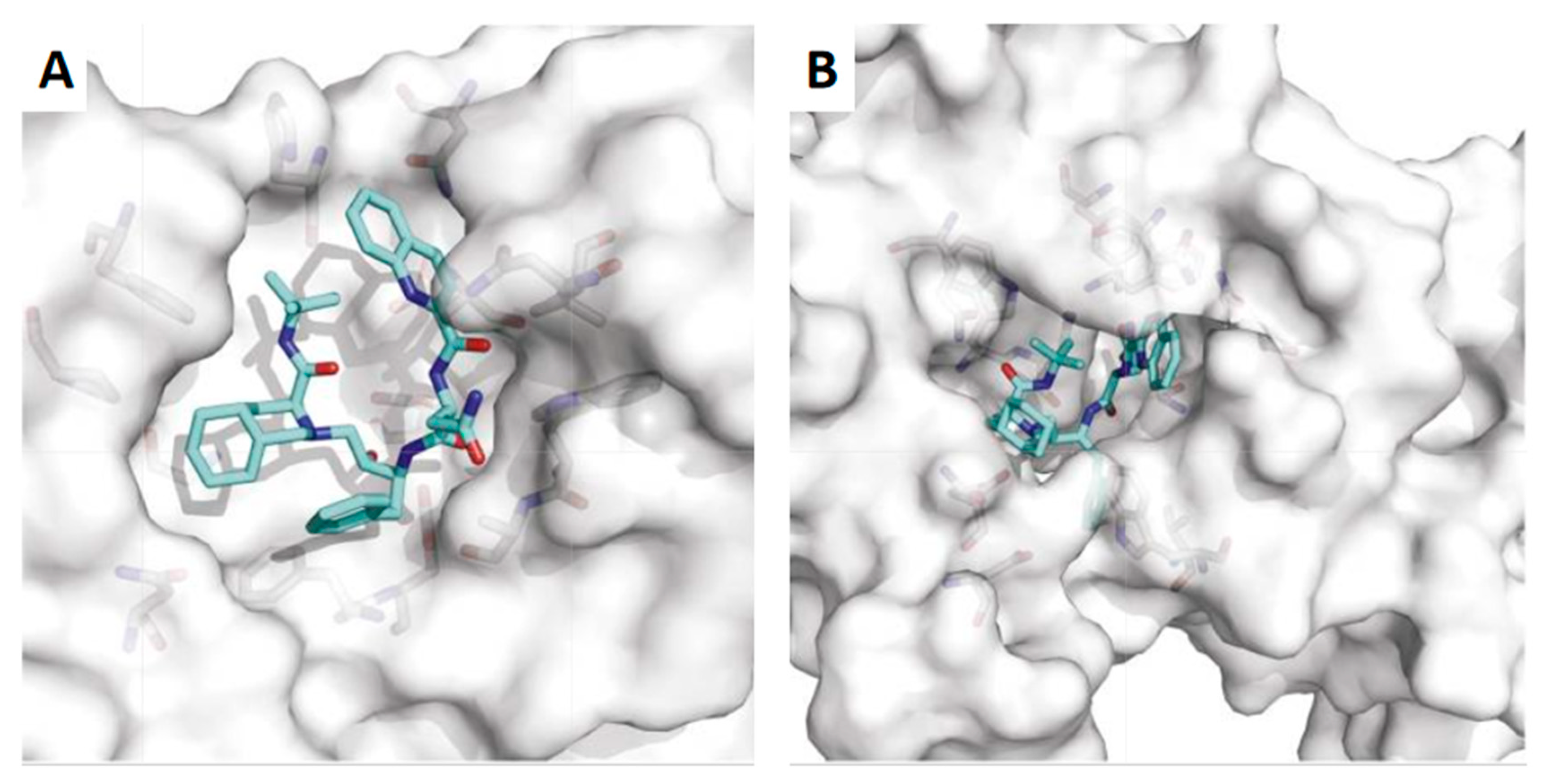 Biomolecules 12 00944 g004 Biomolecules 12 00944 g004