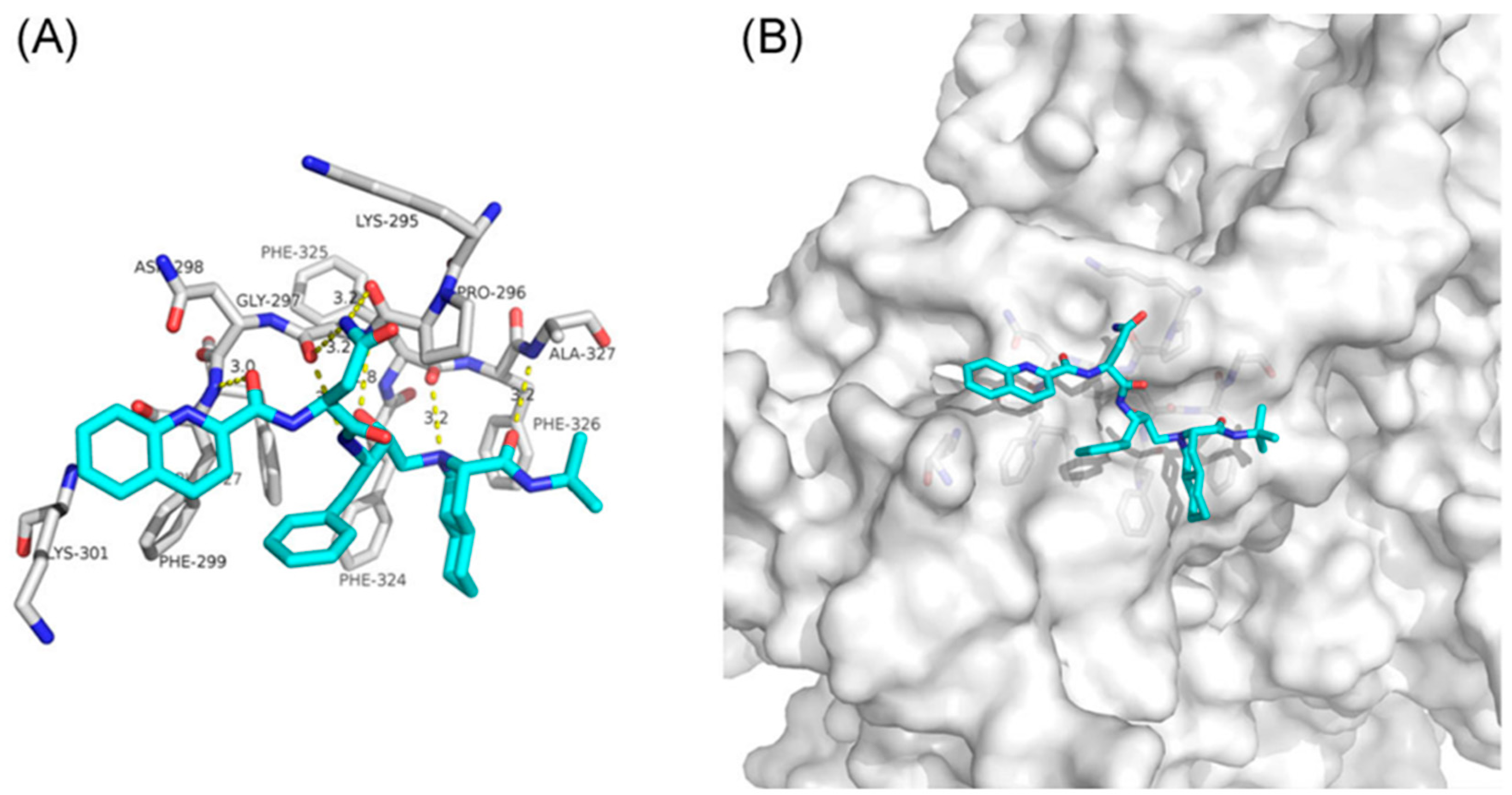 Biomolecules 12 00944 g005 Biomolecules 12 00944 g005