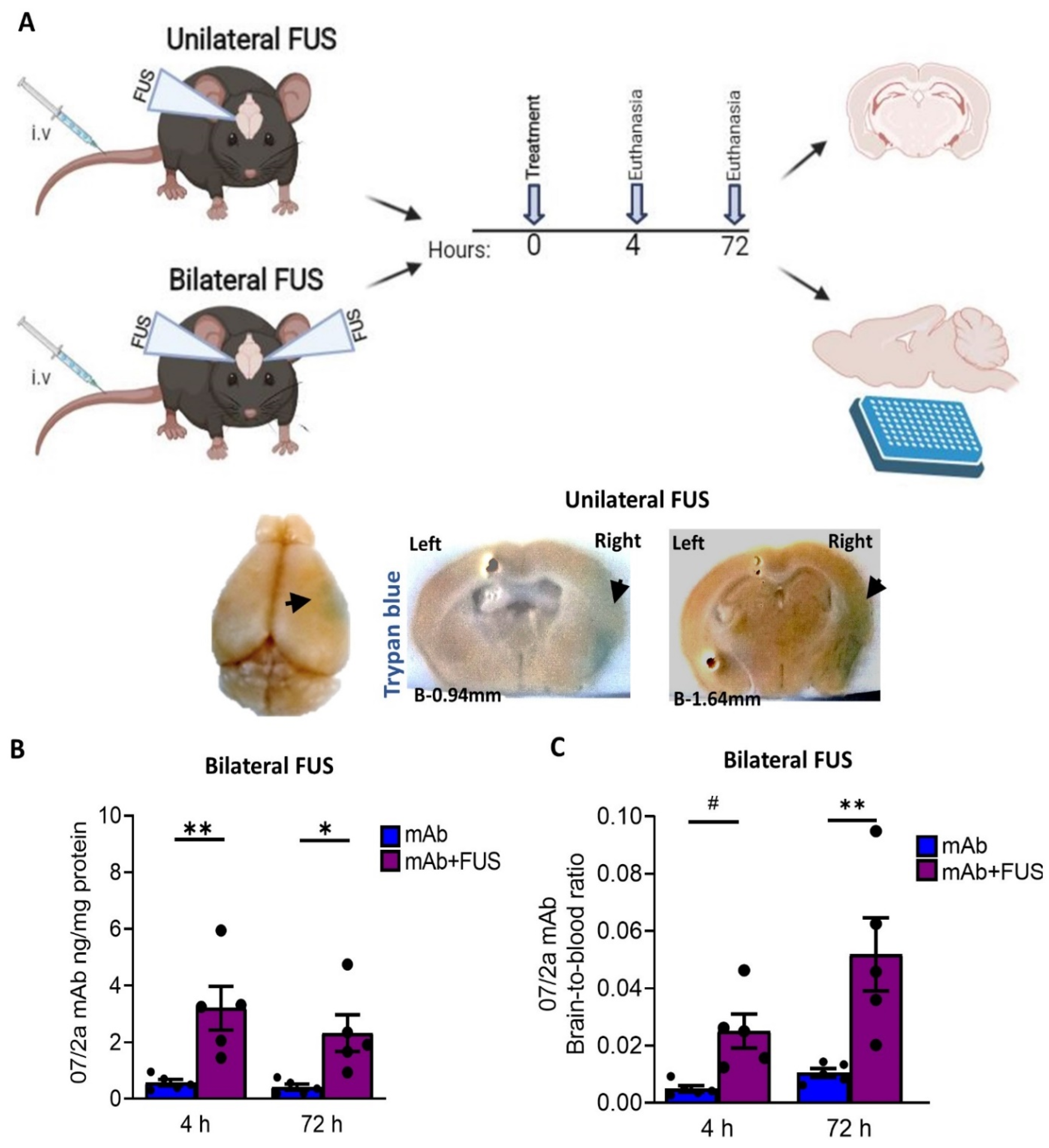 Biomolecules 12 00951 g001