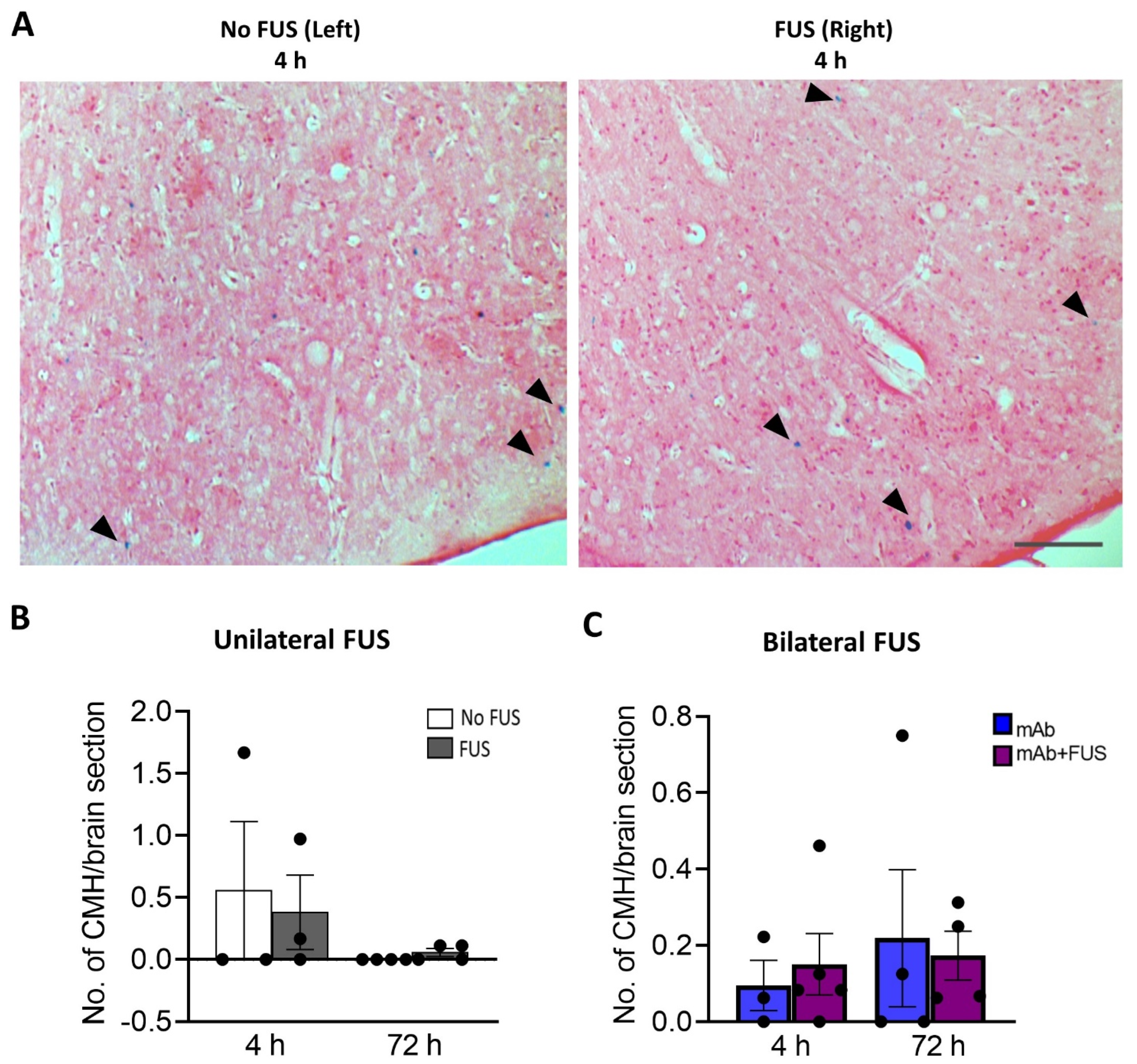 Biomolecules 12 00951 g004