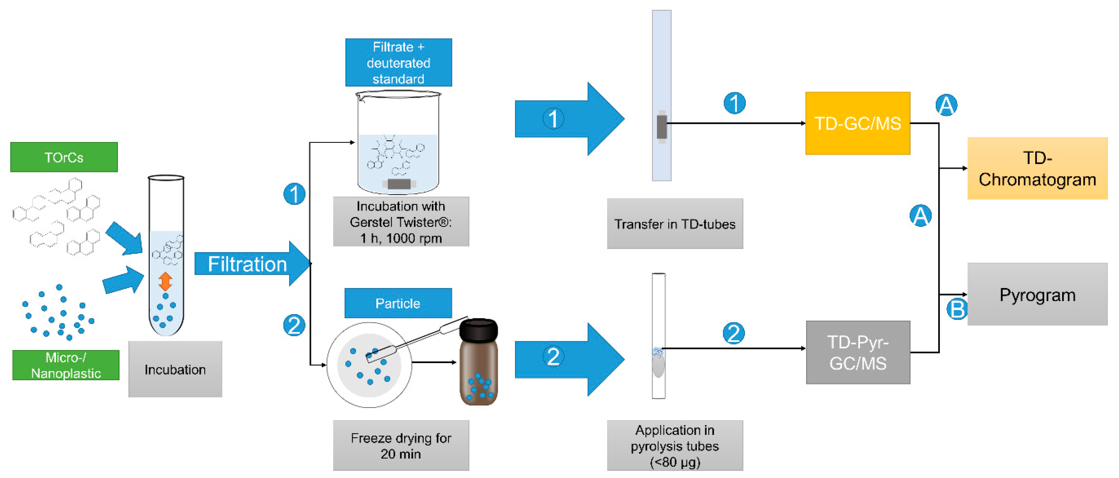 Biomolecules 12 00953 g001 Biomolecules 12 00953 g001
