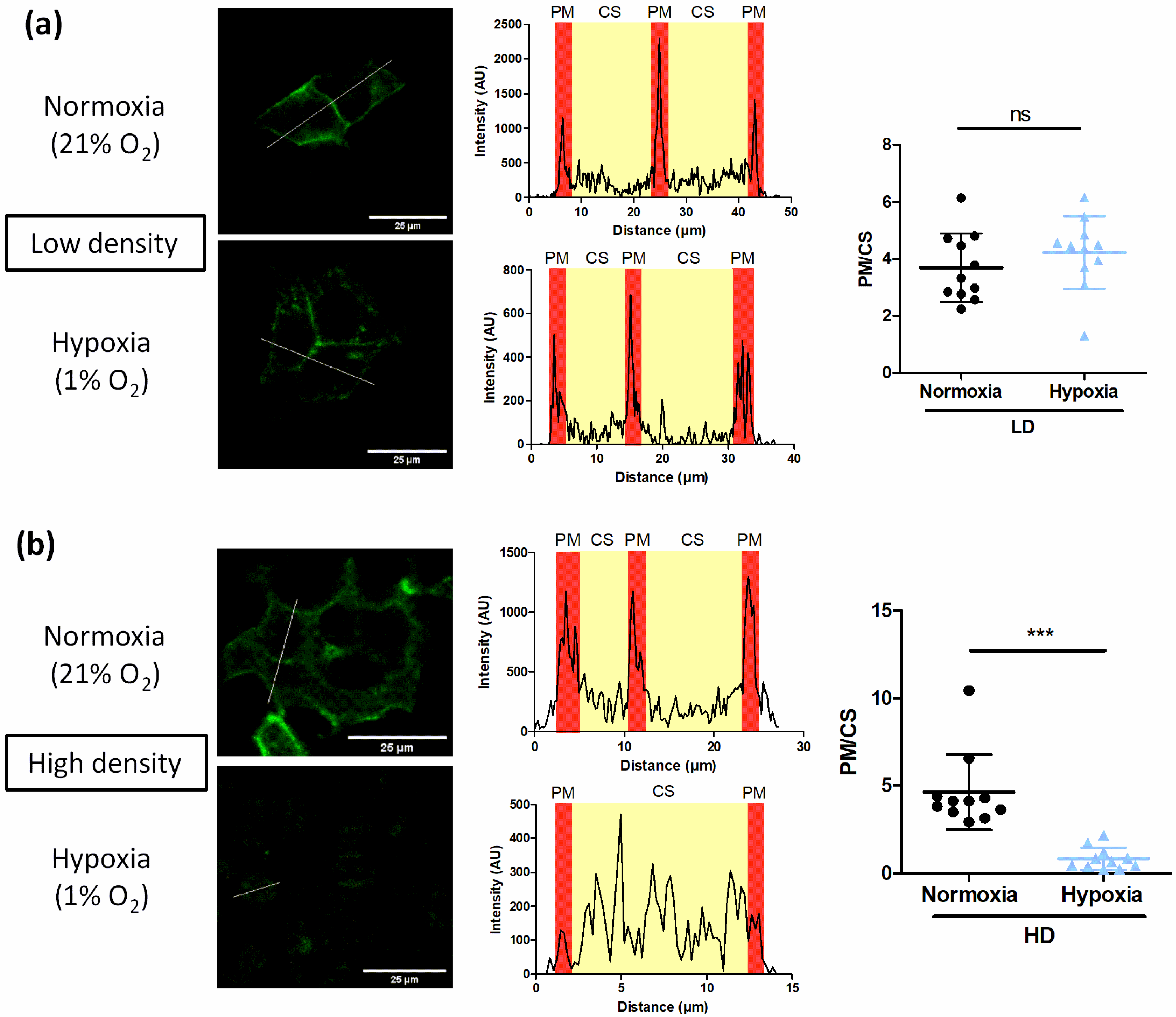 Biomolecules 12 00954 g006 Biomolecules 12 00954 g006
