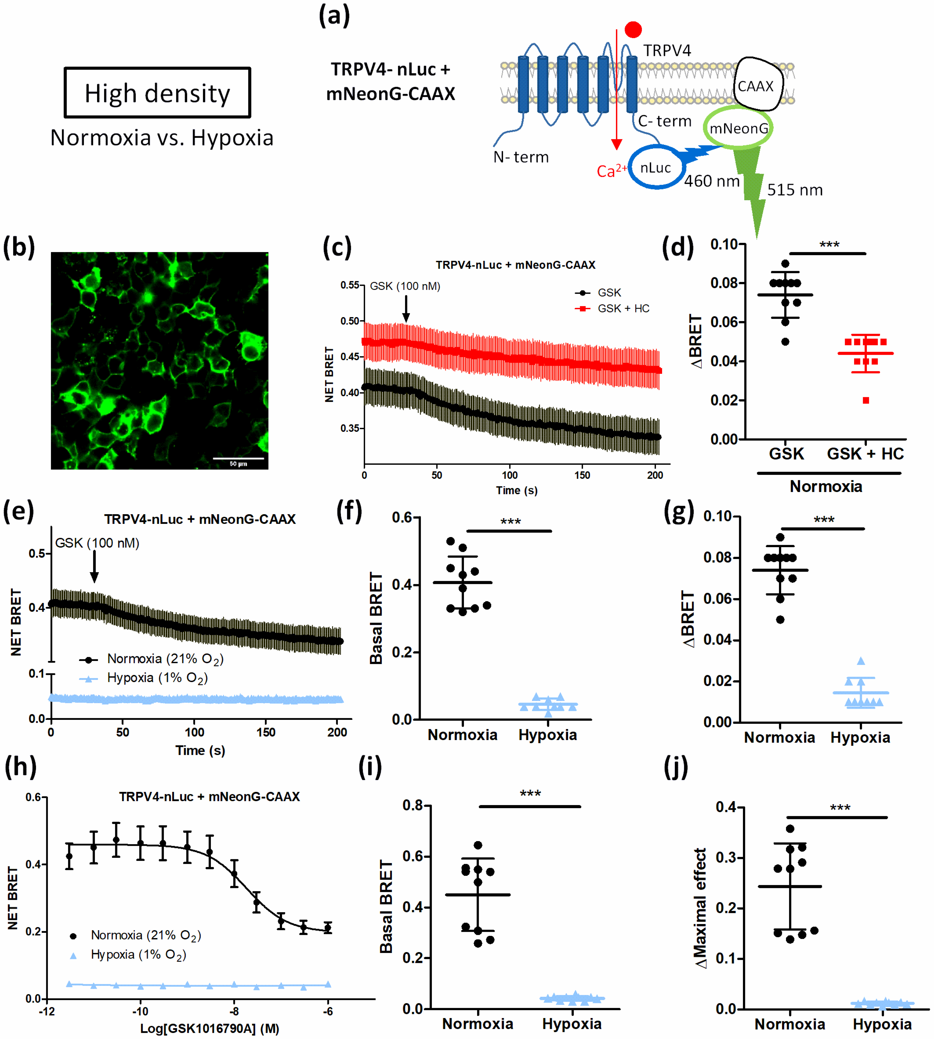 Biomolecules 12 00954 g008 Biomolecules 12 00954 g008