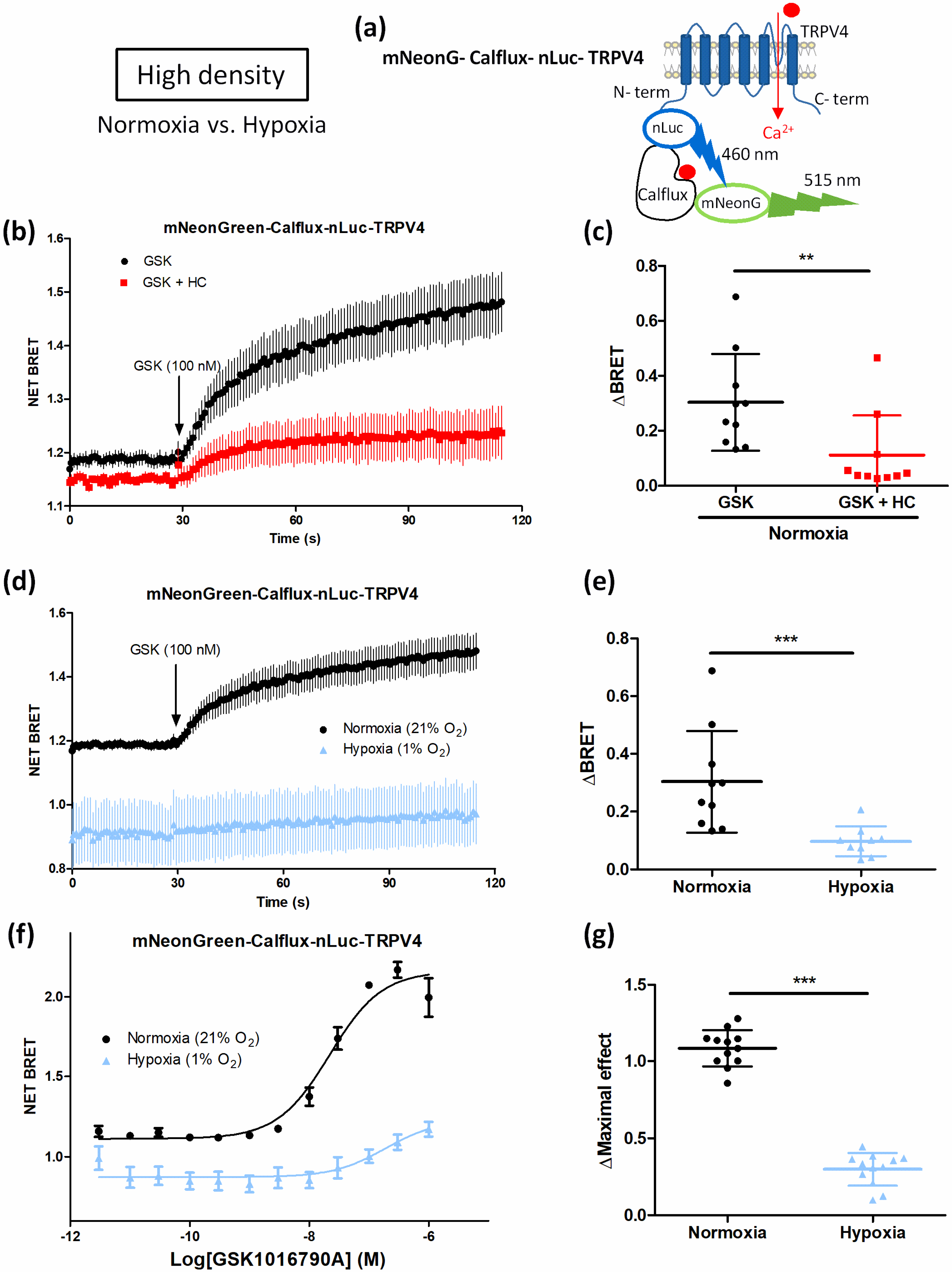 Biomolecules 12 00954 g009 Biomolecules 12 00954 g009