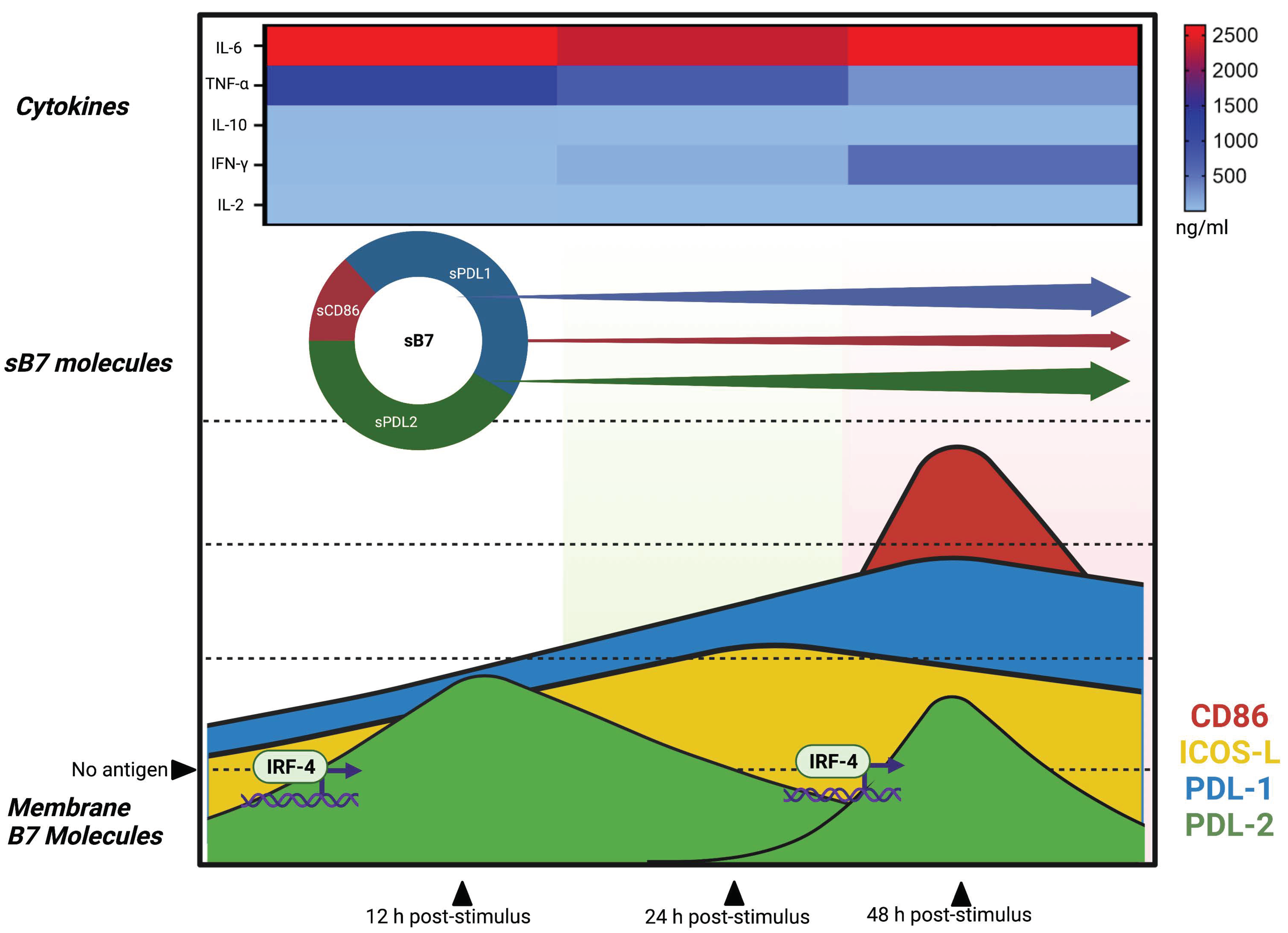 Biomolecules 12 00955 g007