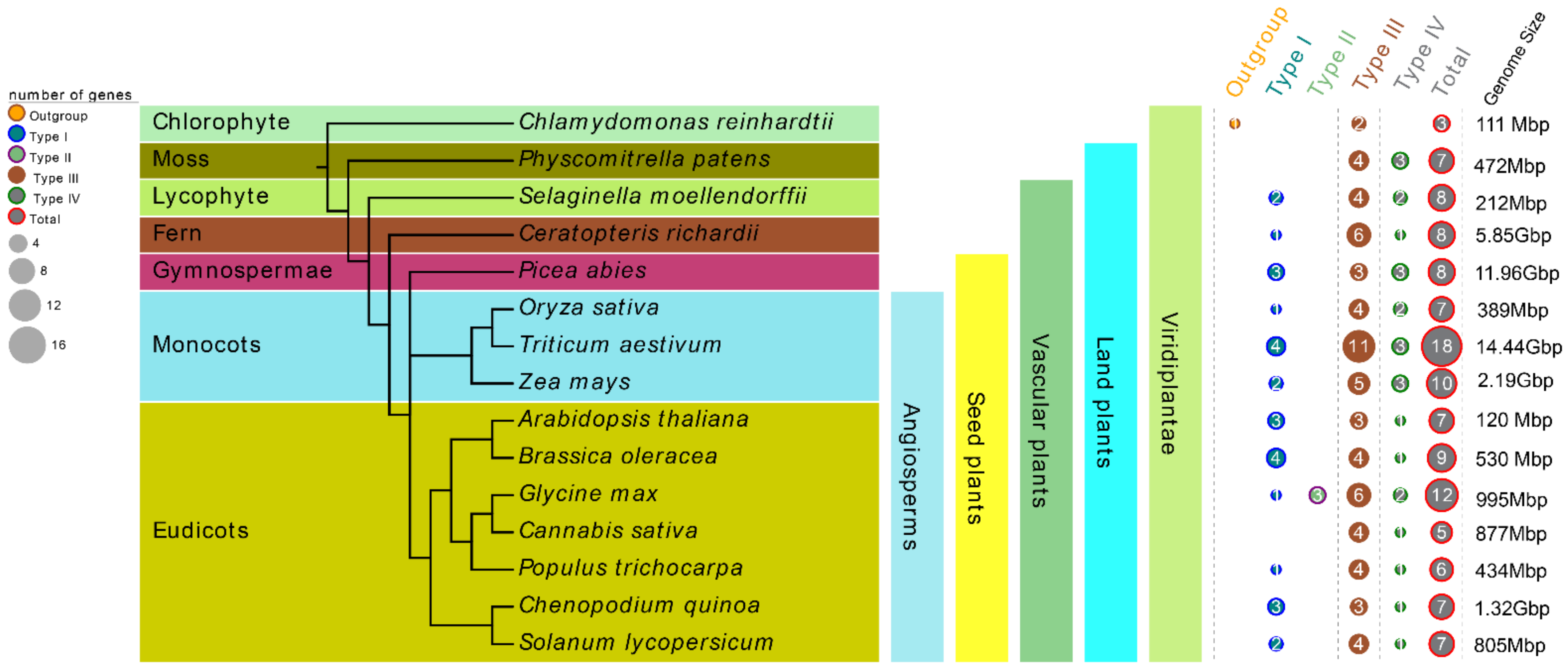 Biomolecules 12 00961 g001