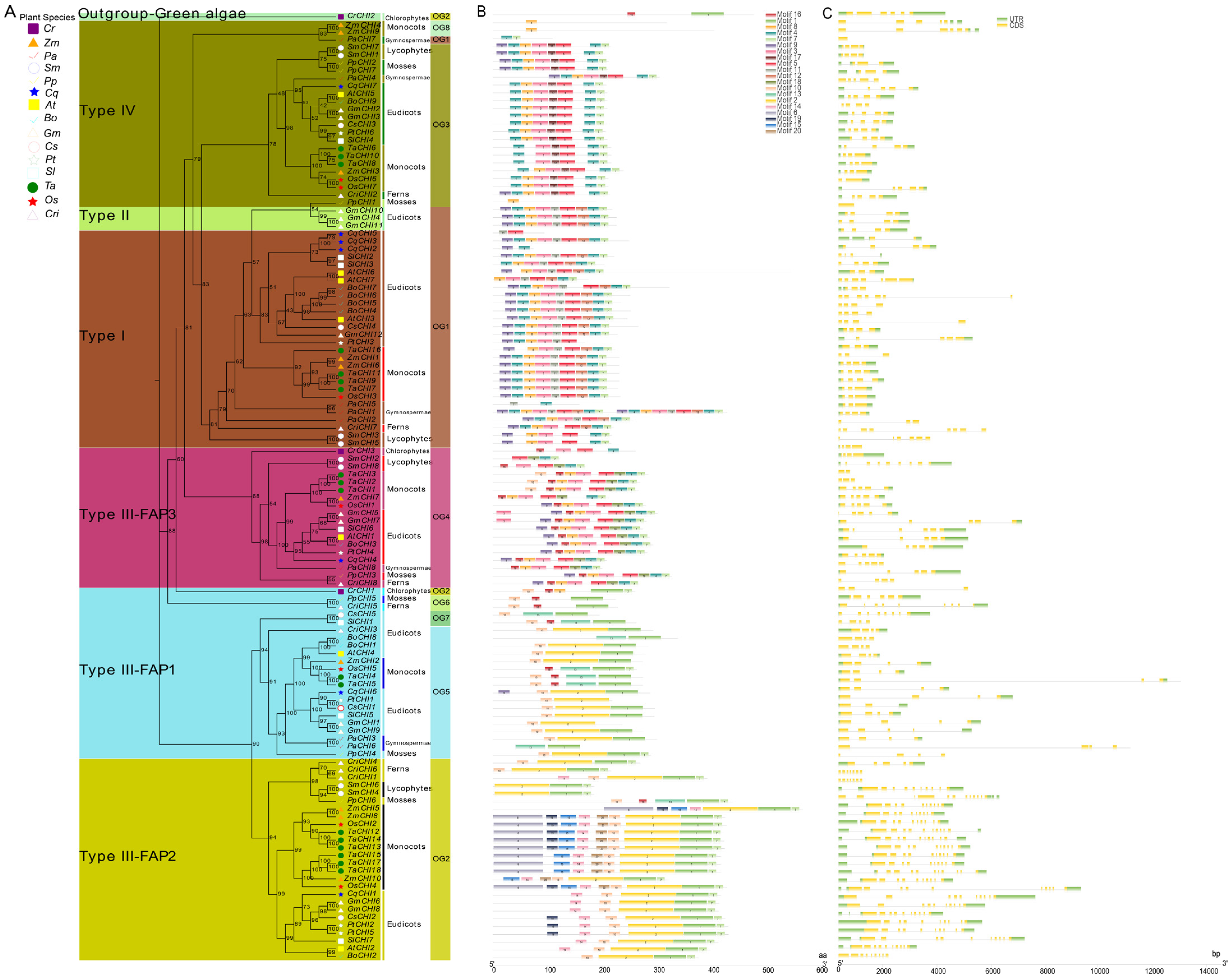 Biomolecules 12 00961 g002