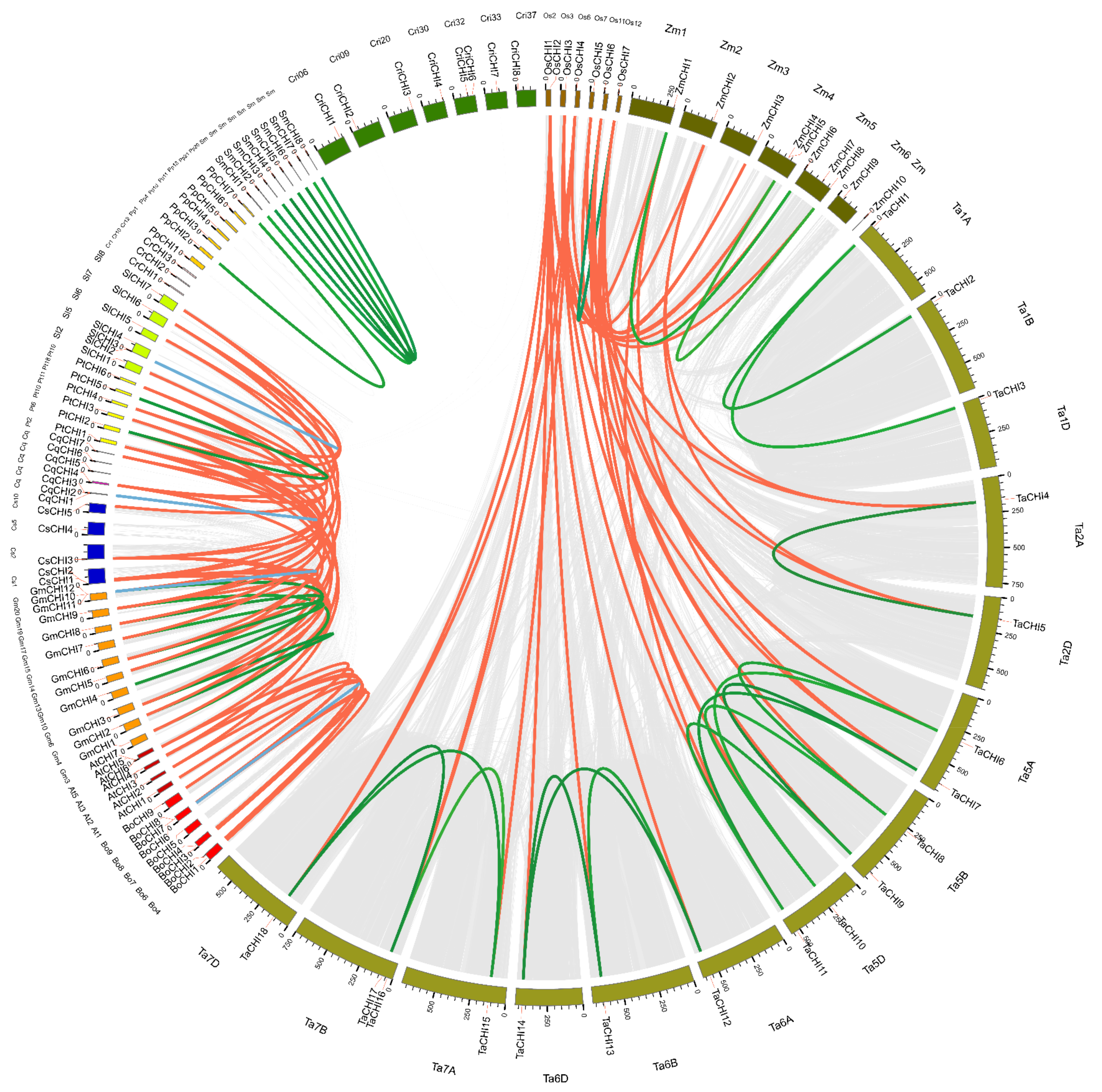 Biomolecules 12 00961 g003