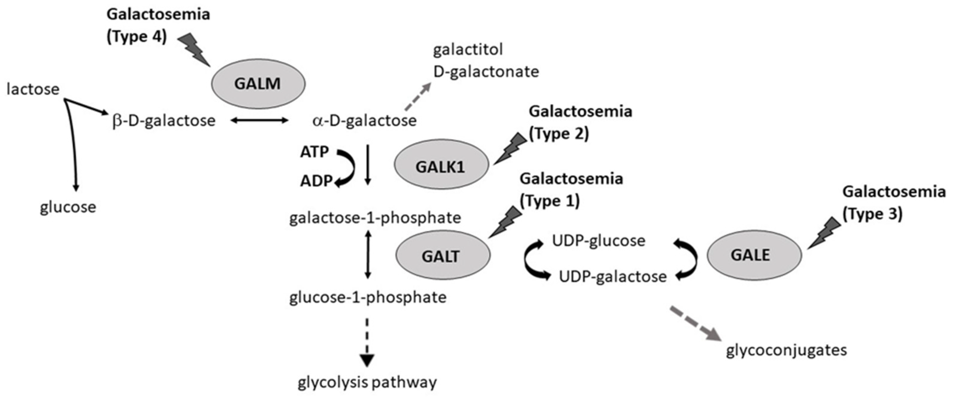 Biomolecules 12 00968 g001