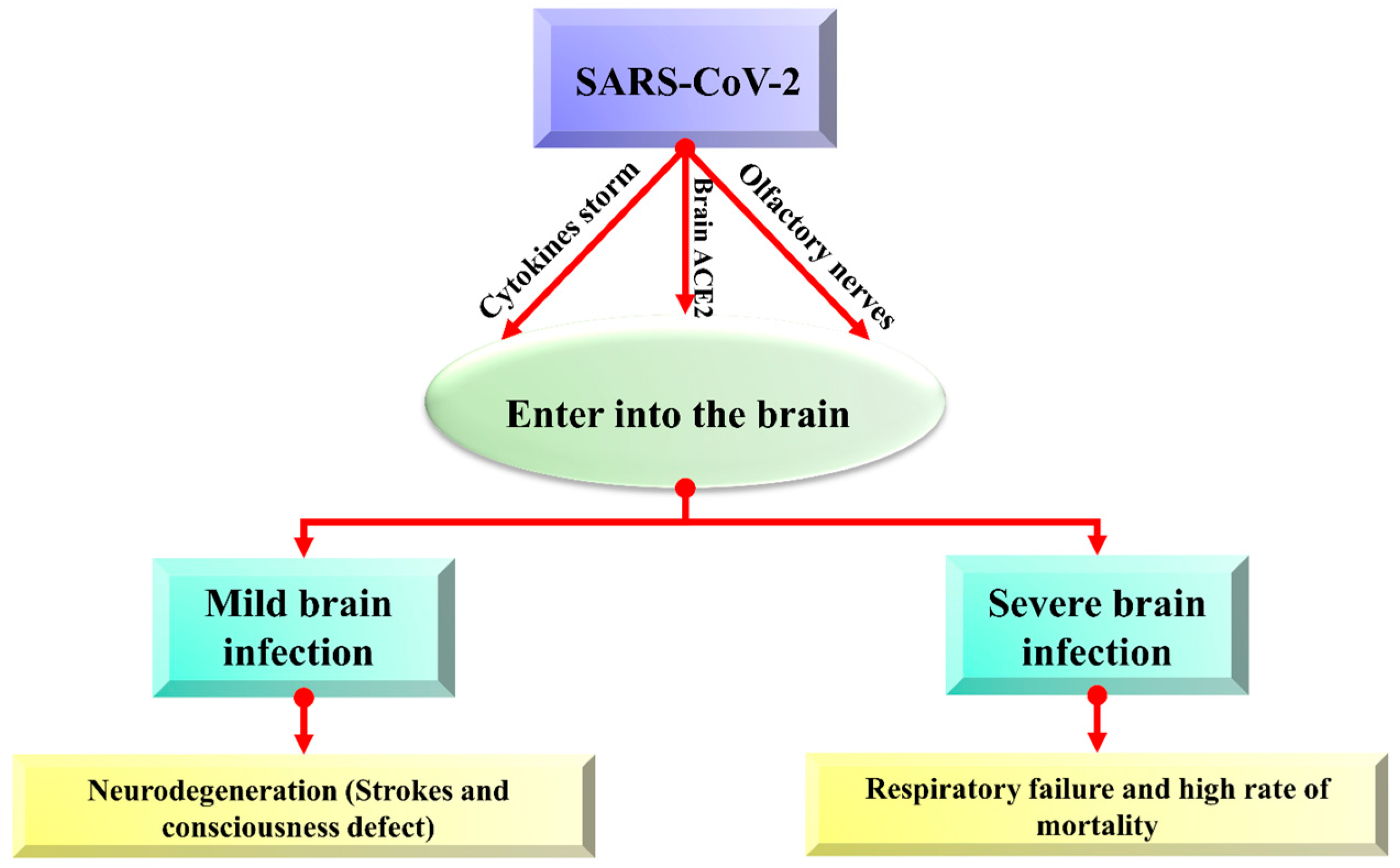 Biomolecules 12 00971 g002