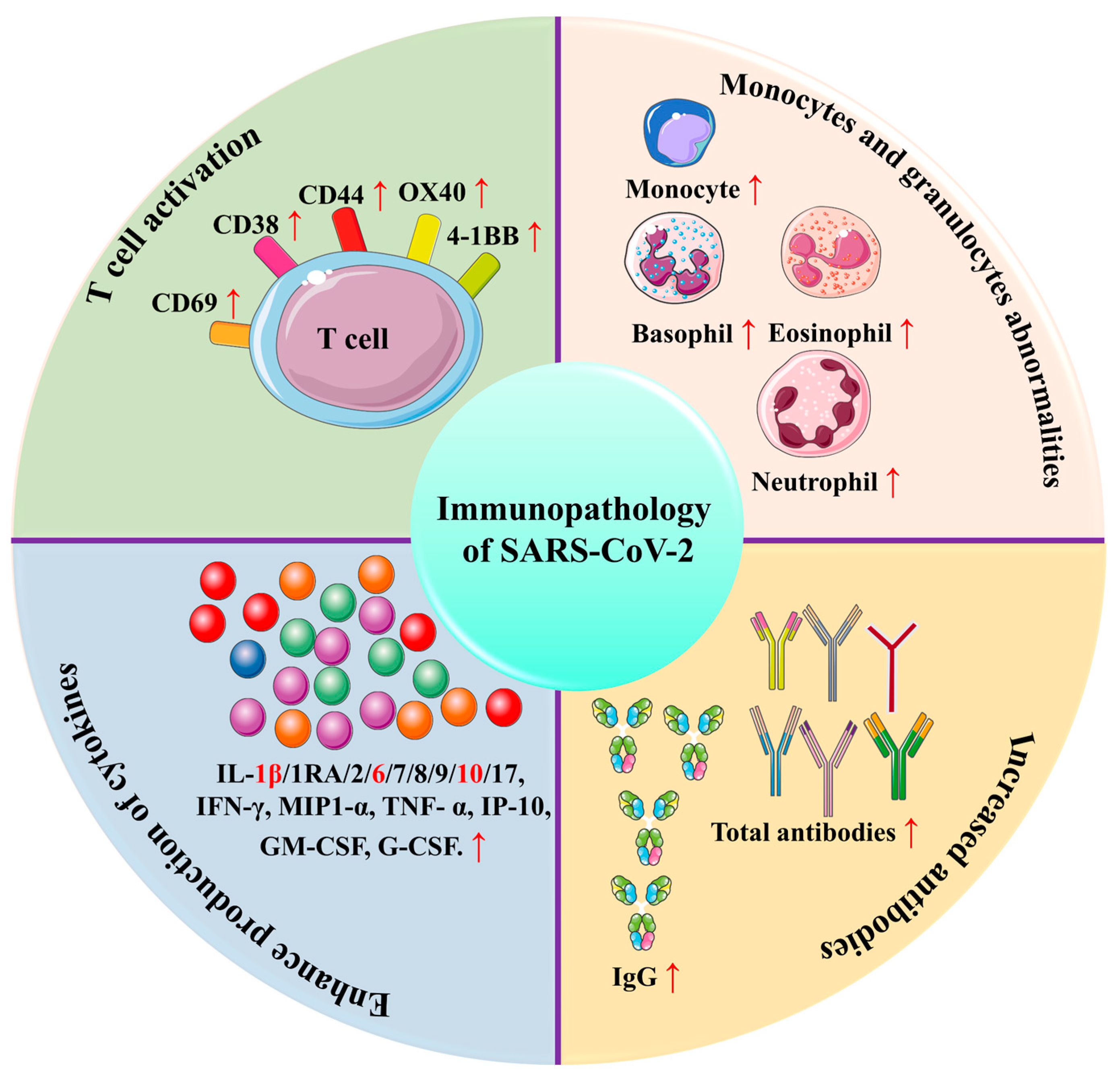 Biomolecules 12 00971 g006
