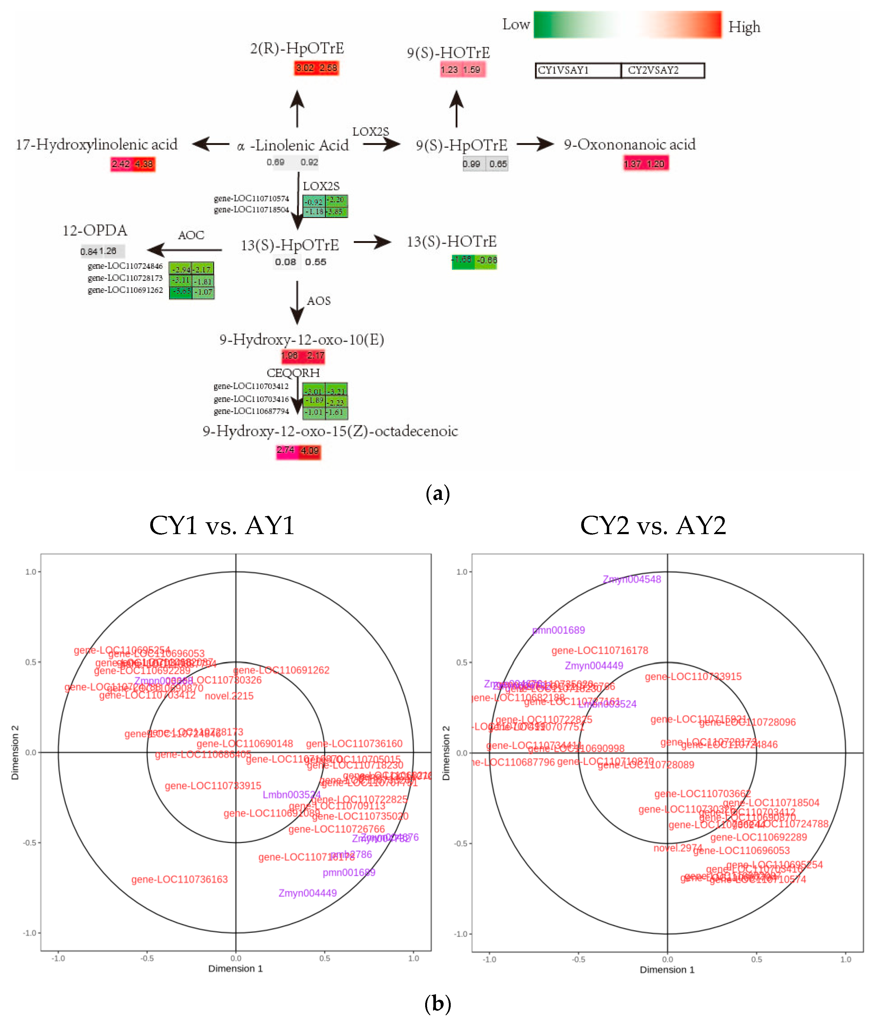 Biomolecules 12 00977 g006