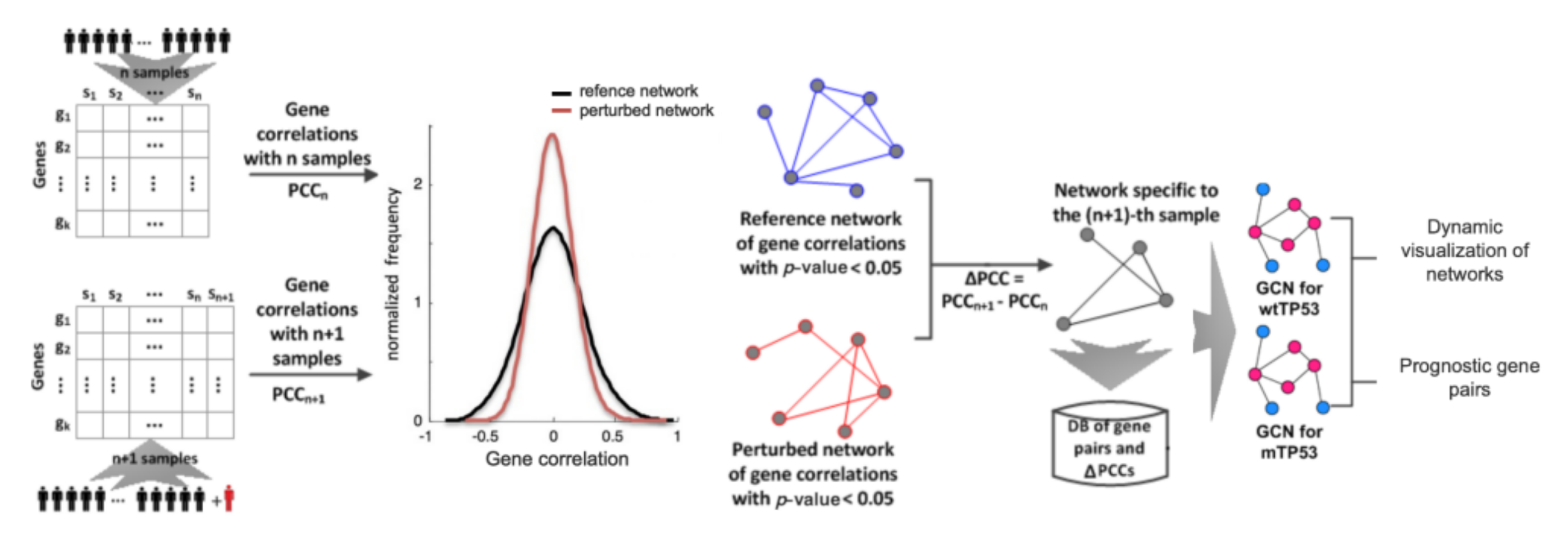 Biomolecules 12 00979 g001