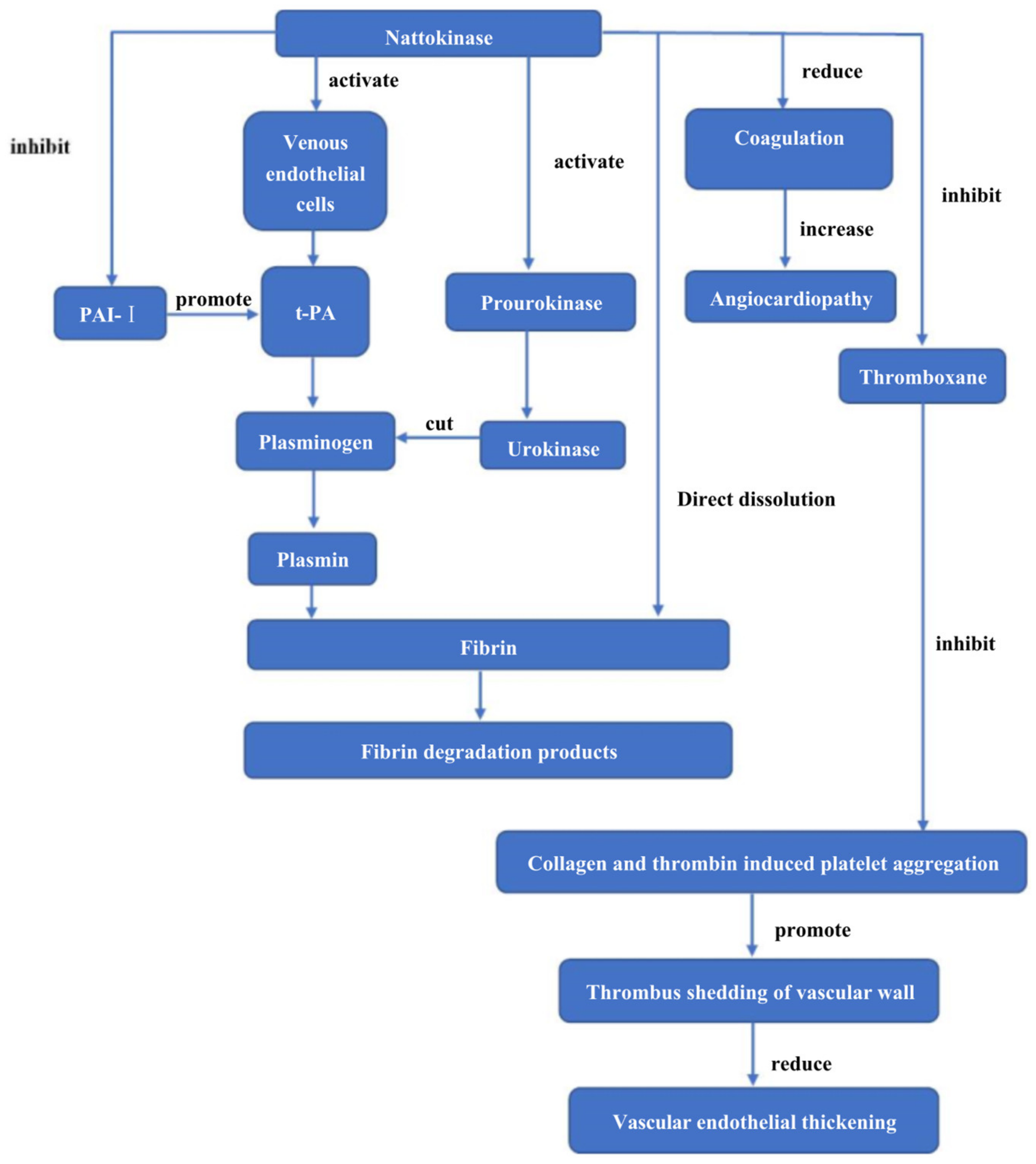 Biomolecules 12 00980 g003