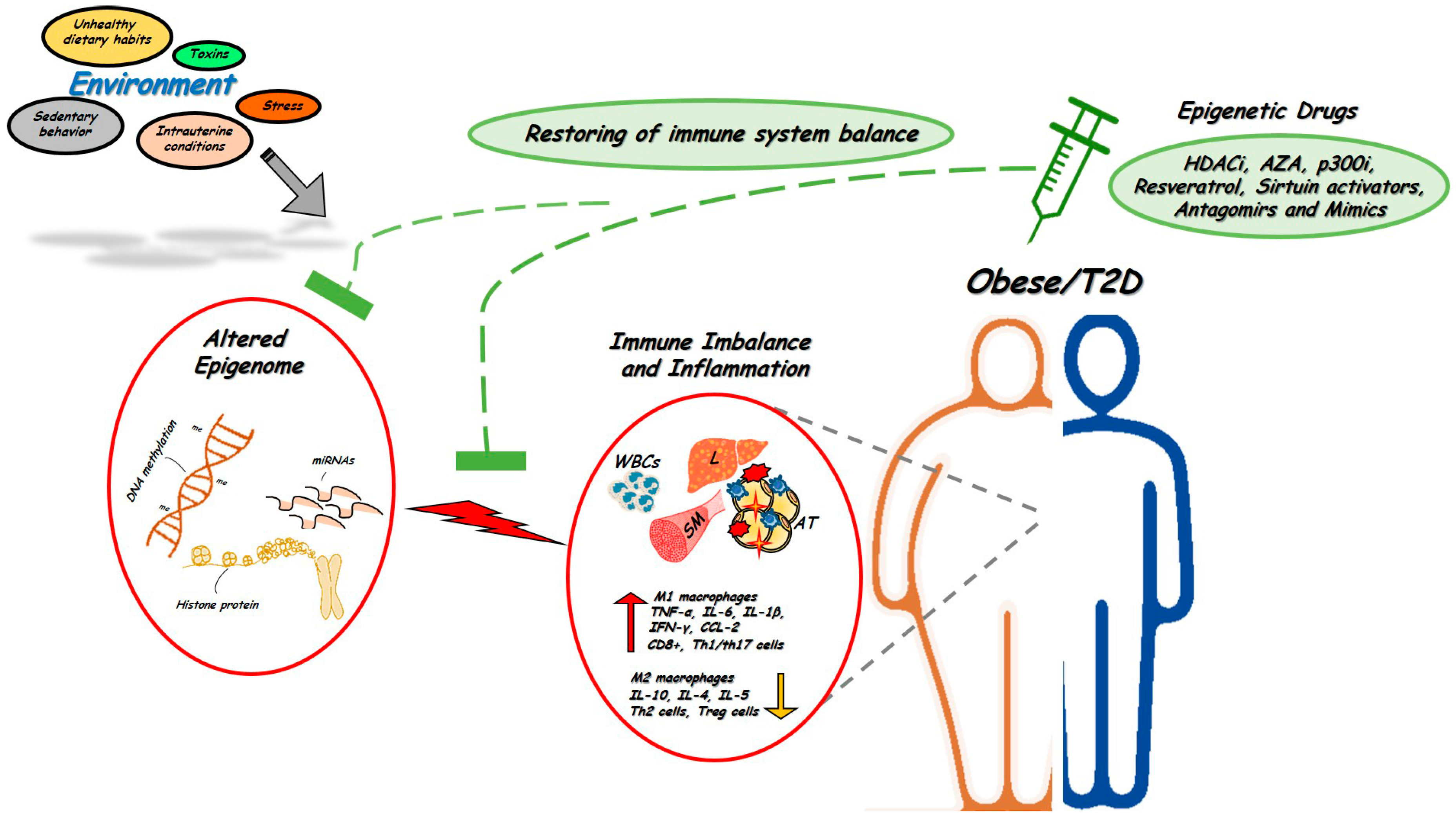Biomolecules 12 00982 g001