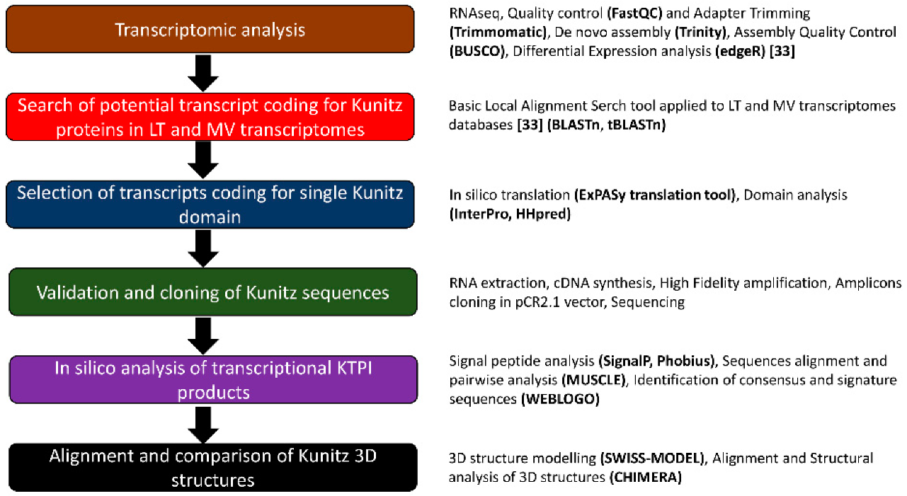 Biomolecules 12 00988 g002
