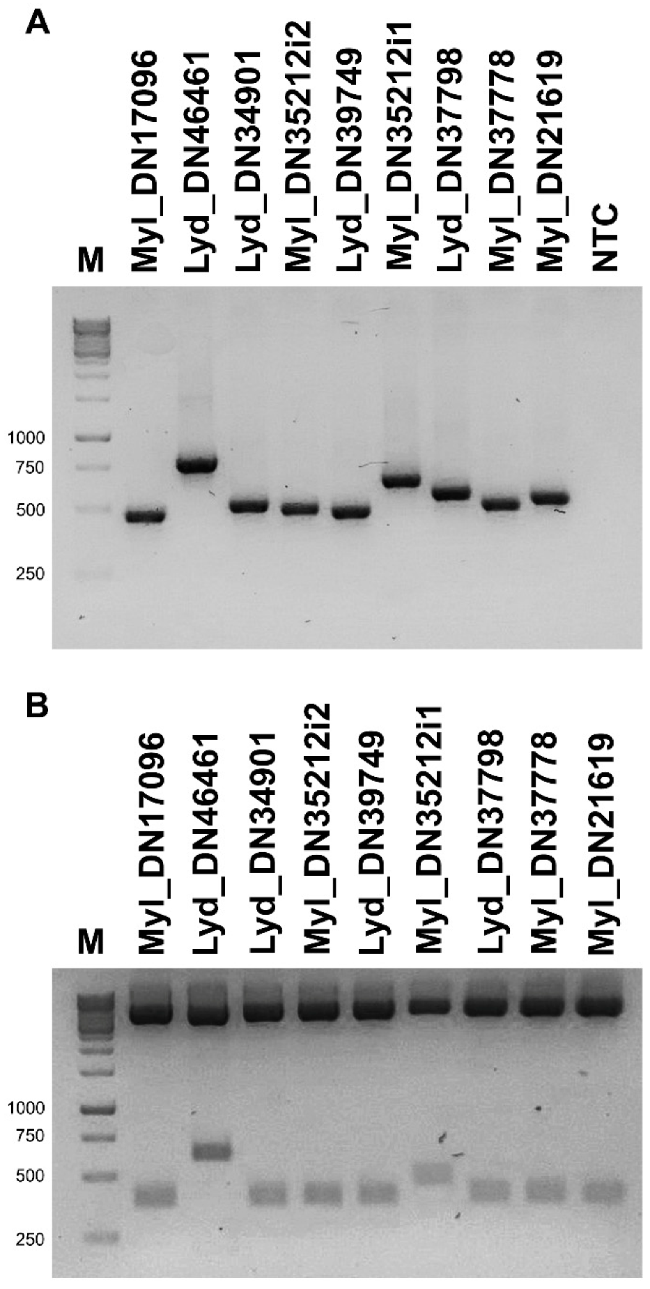 Biomolecules 12 00988 g004