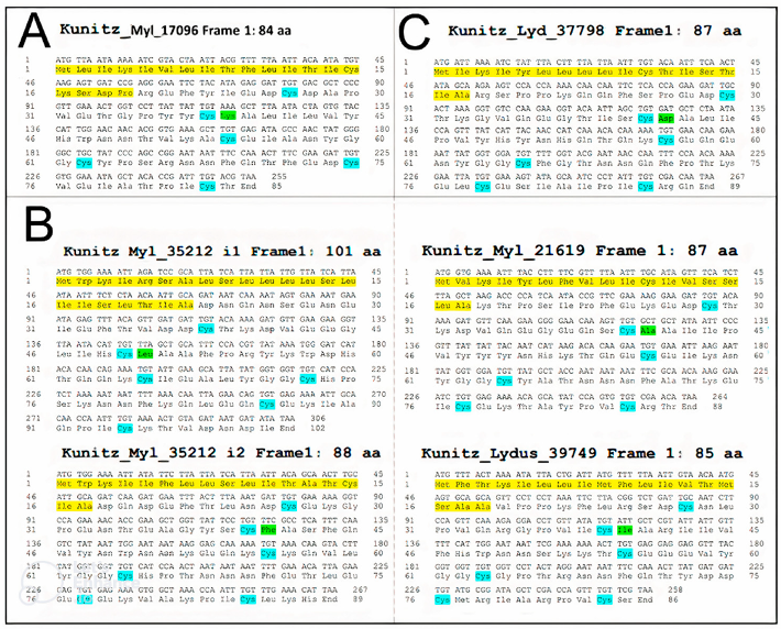 Biomolecules 12 00988 g005