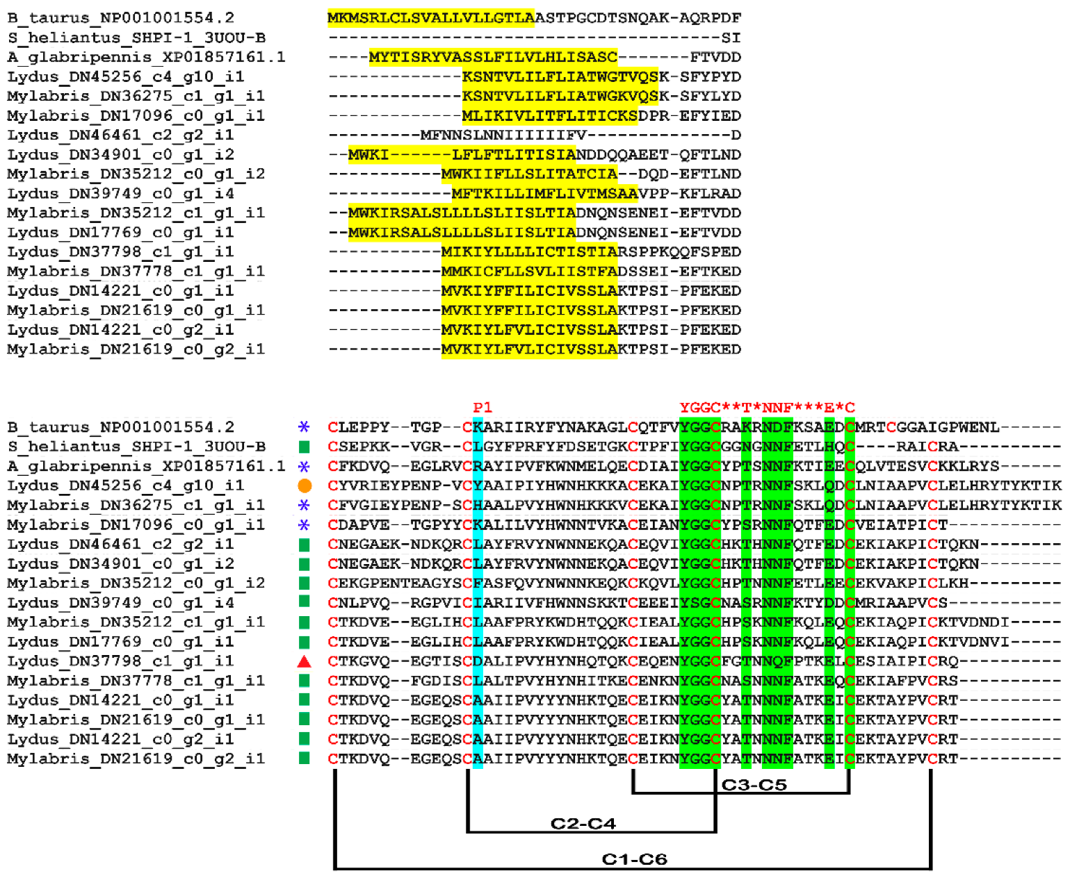 Biomolecules 12 00988 g007