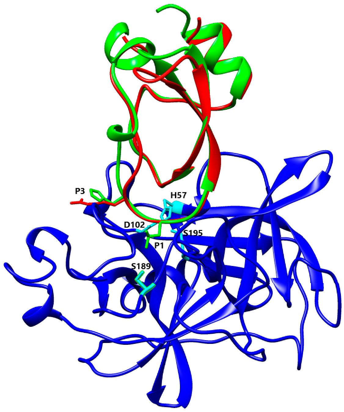 Biomolecules 12 00988 g009