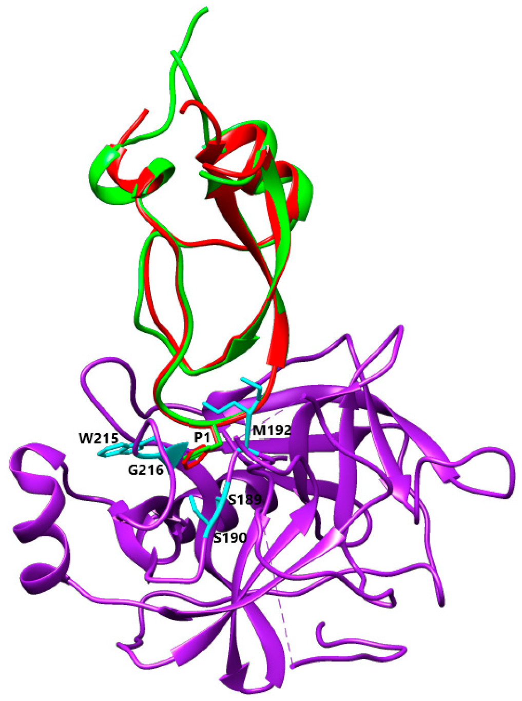 Biomolecules 12 00988 g010