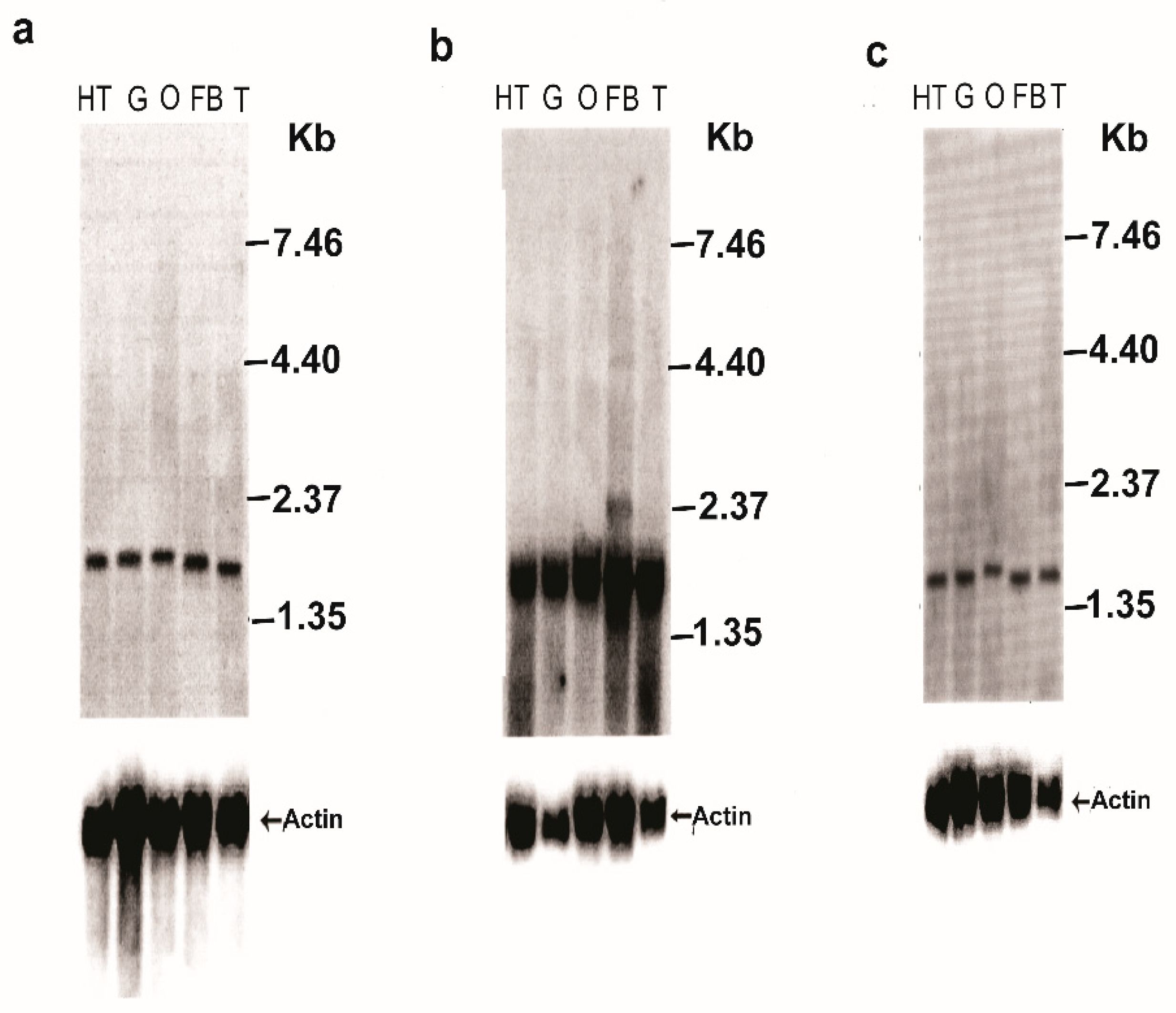 Biomolecules 12 00991 g003