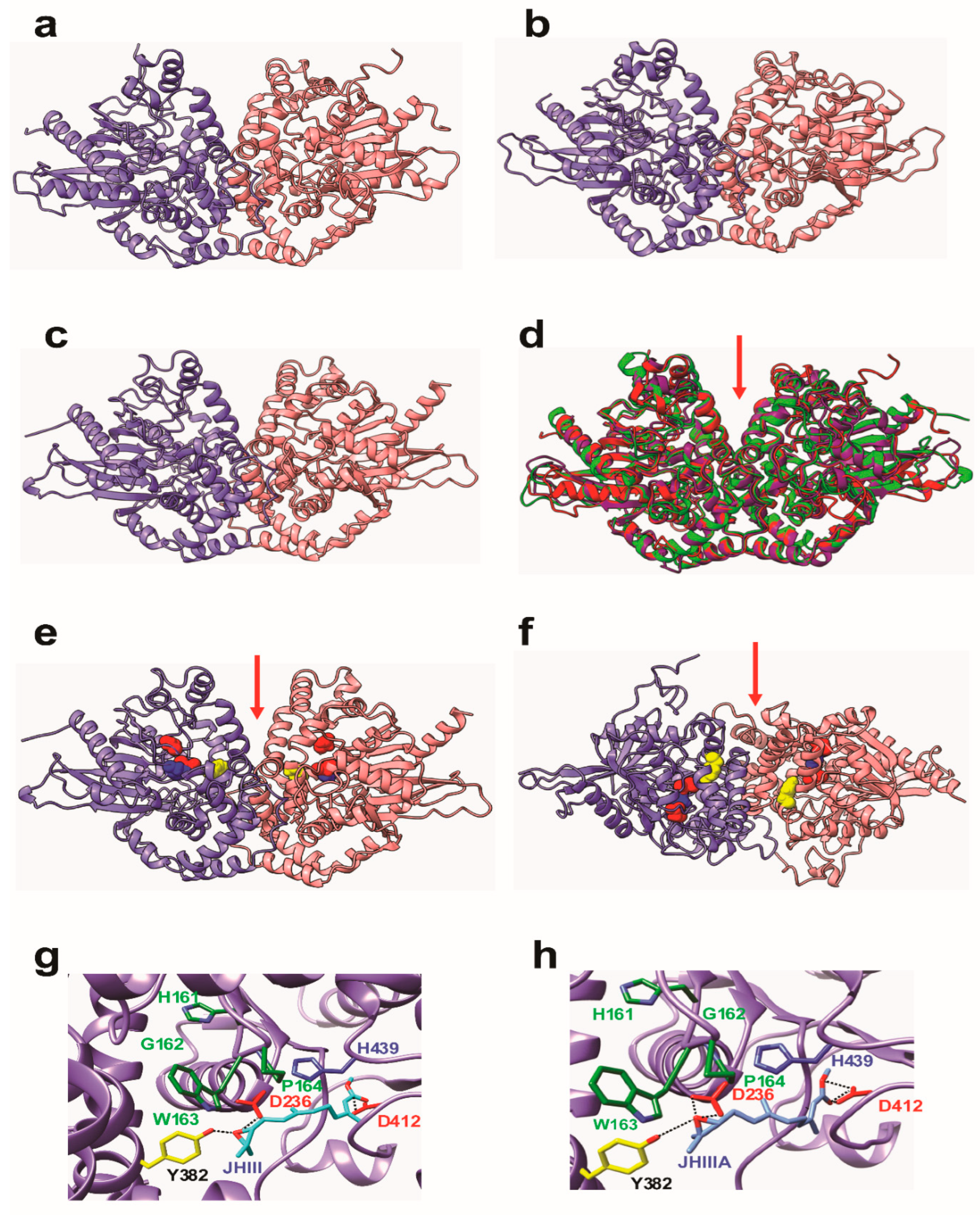 Biomolecules 12 00991 g004