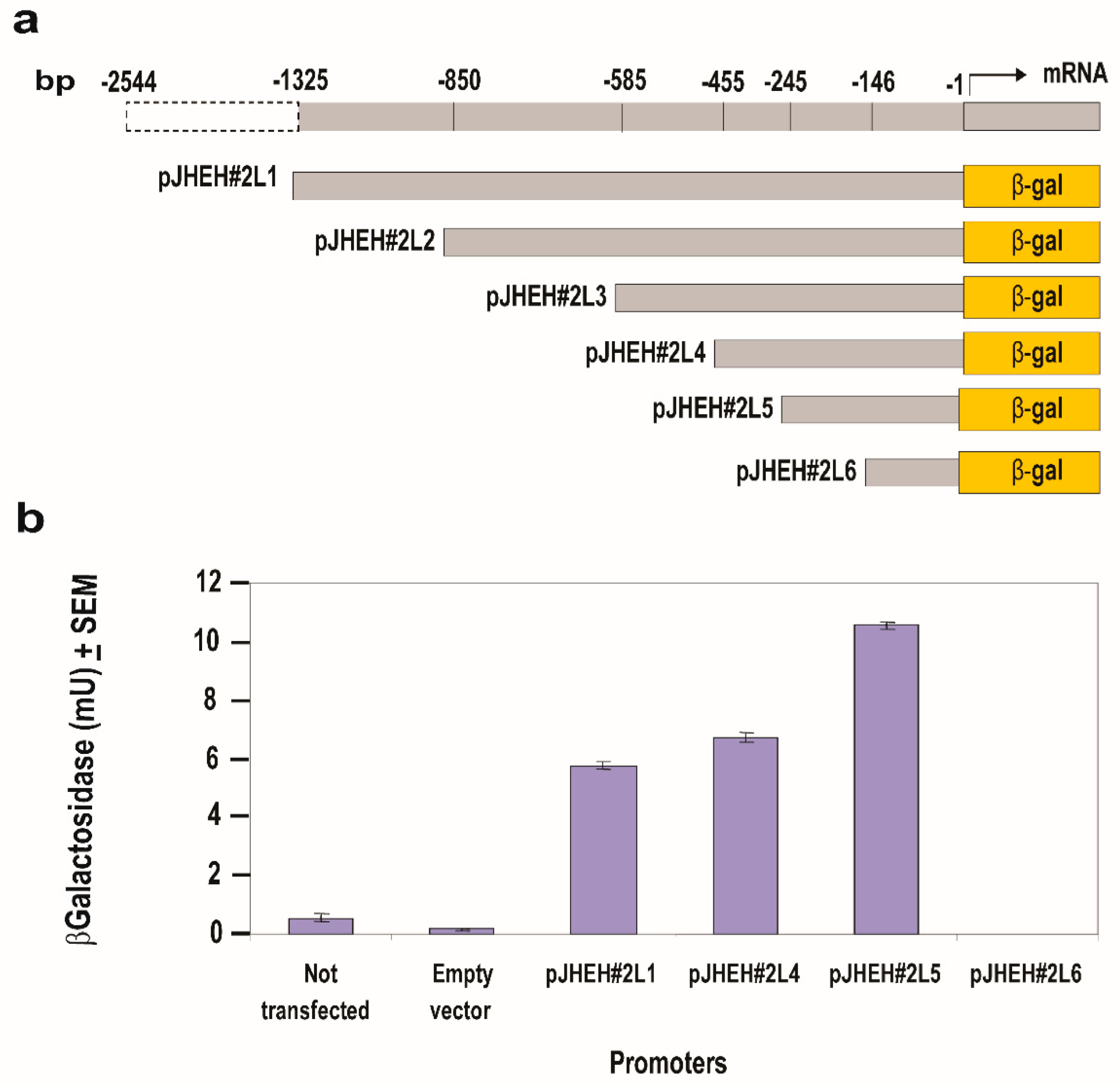 Biomolecules 12 00991 g006