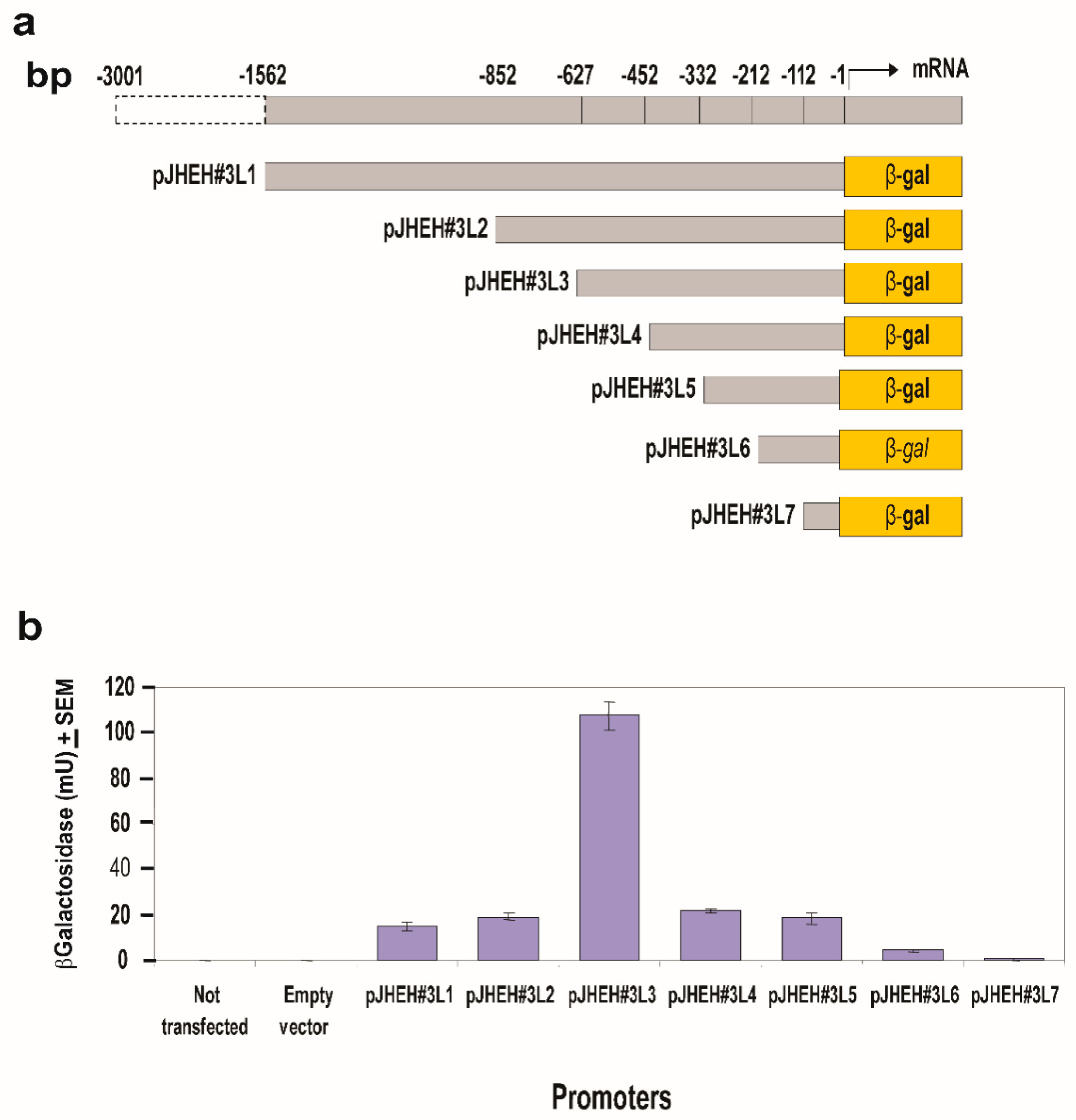 Biomolecules 12 00991 g007