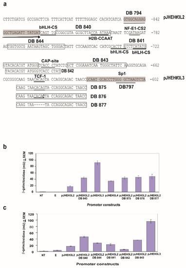 Biomolecules 12 00991 g008