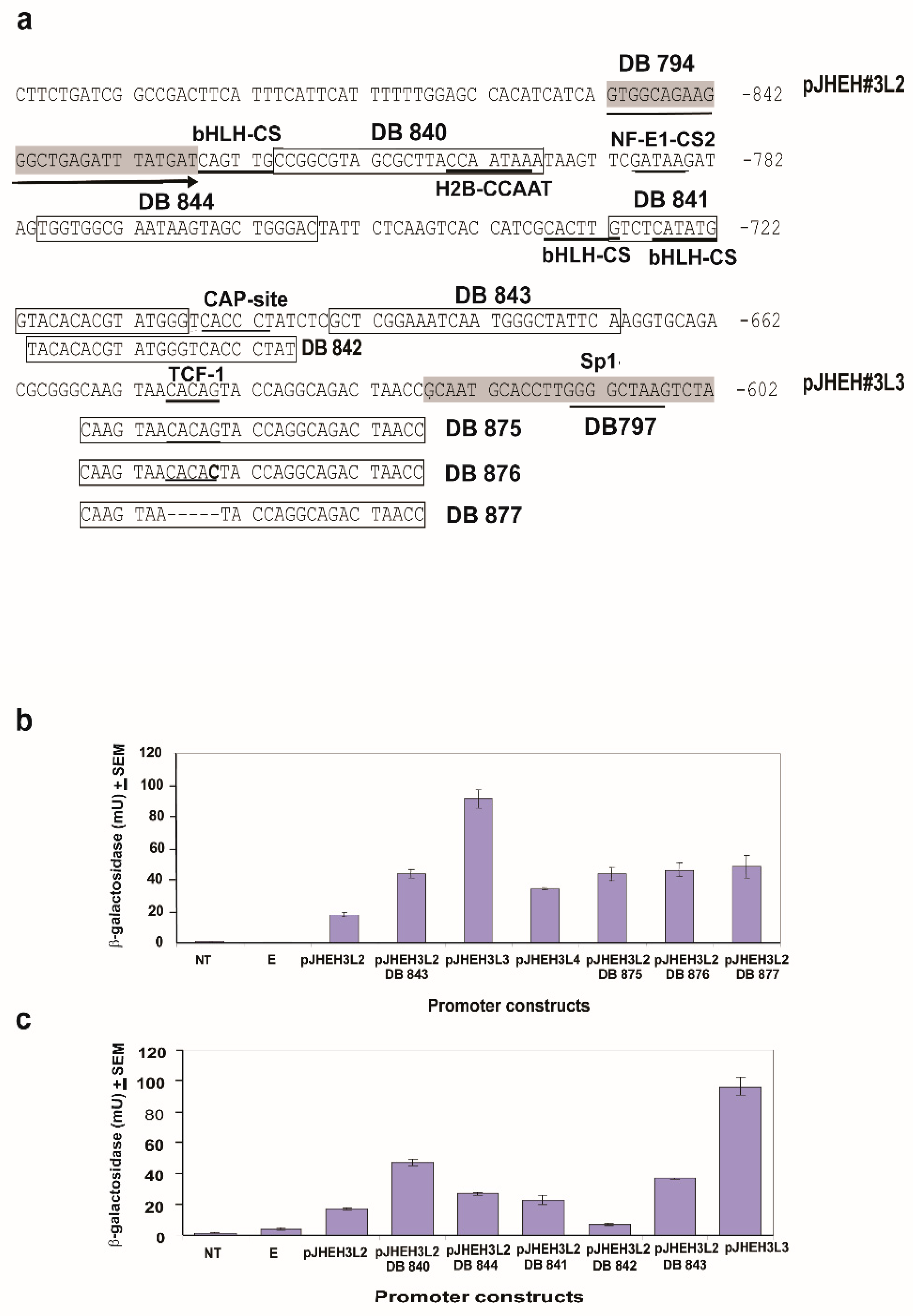 Biomolecules 12 00991 g008