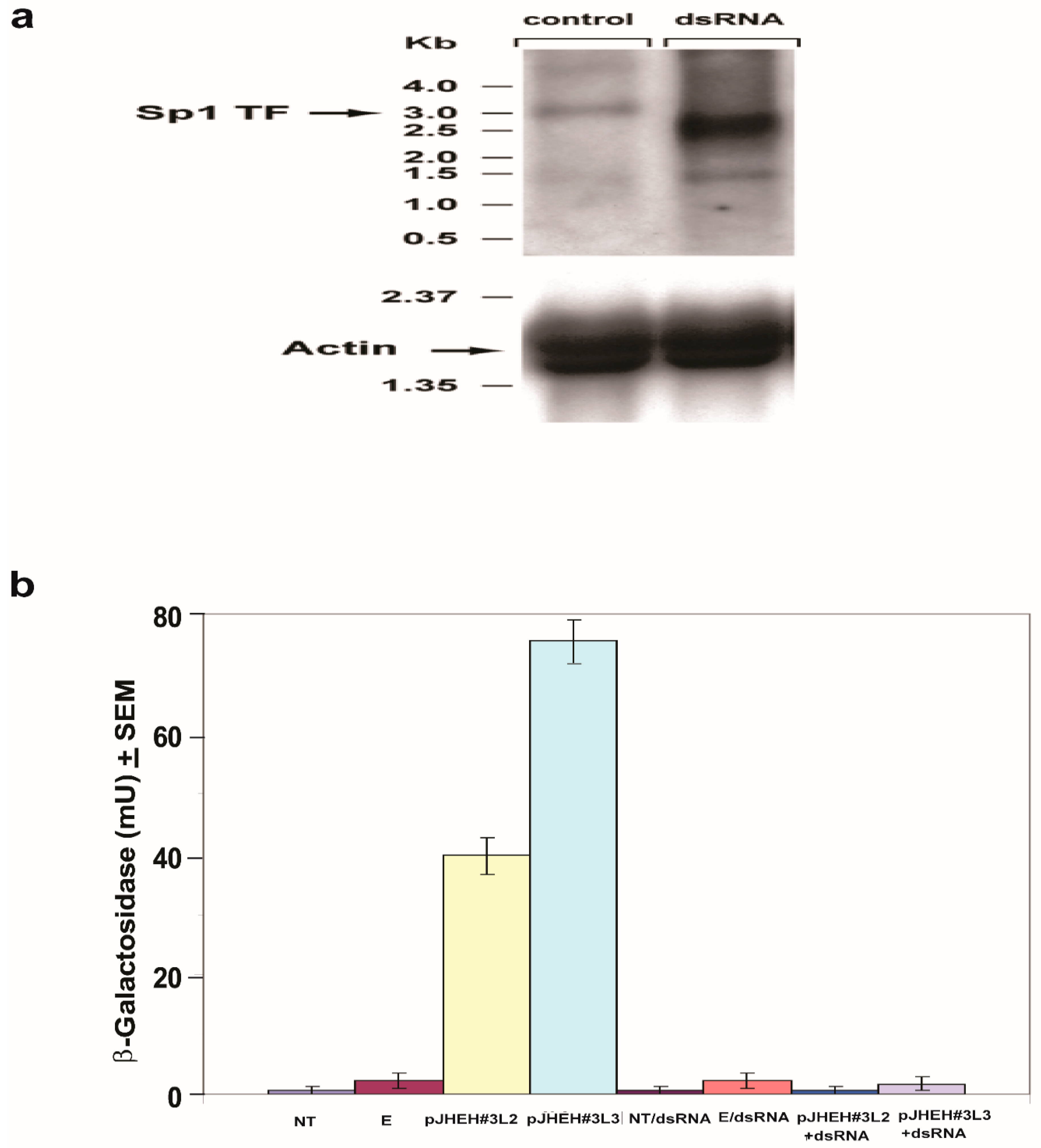 Biomolecules 12 00991 g009
