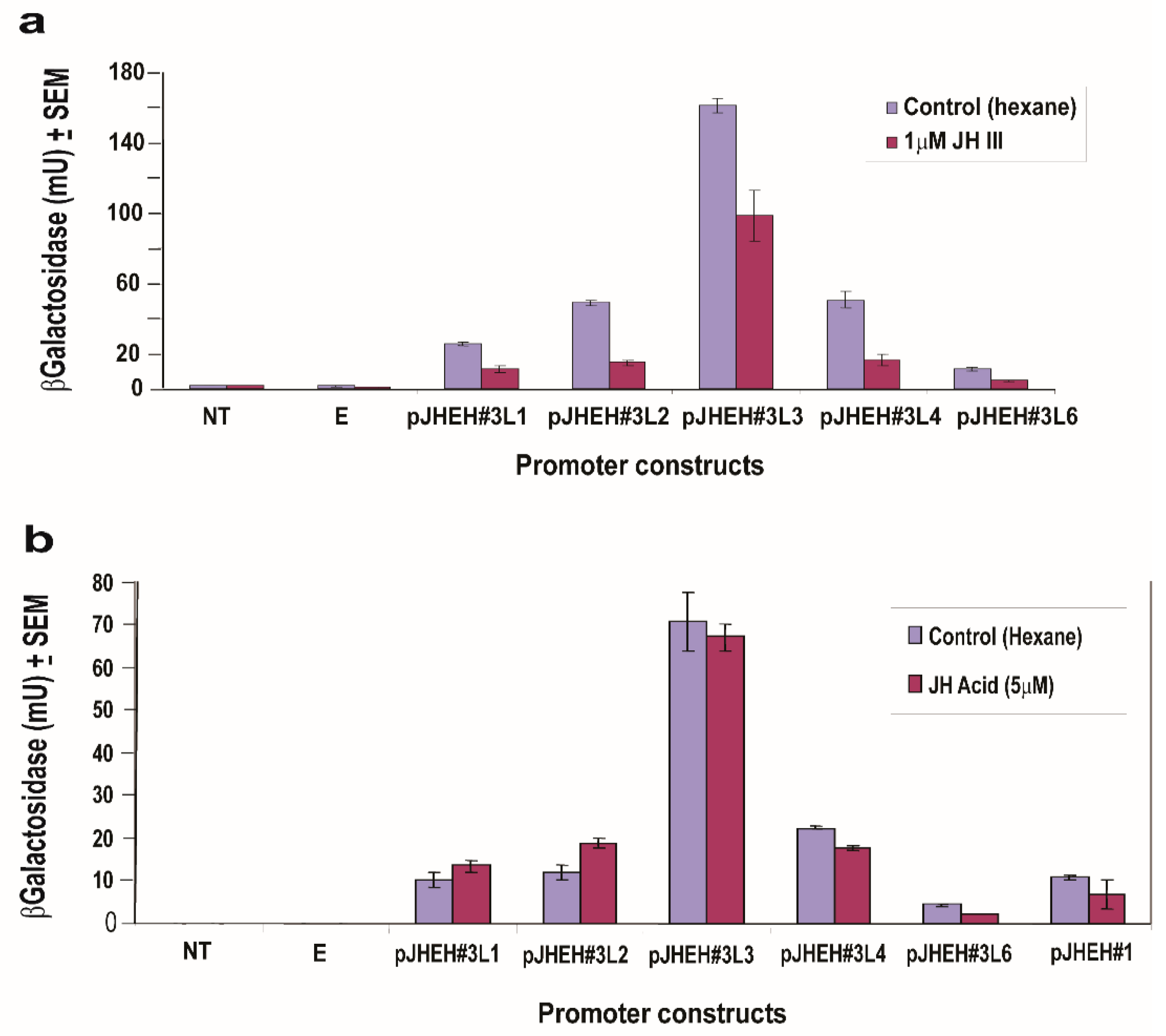 Biomolecules 12 00991 g010