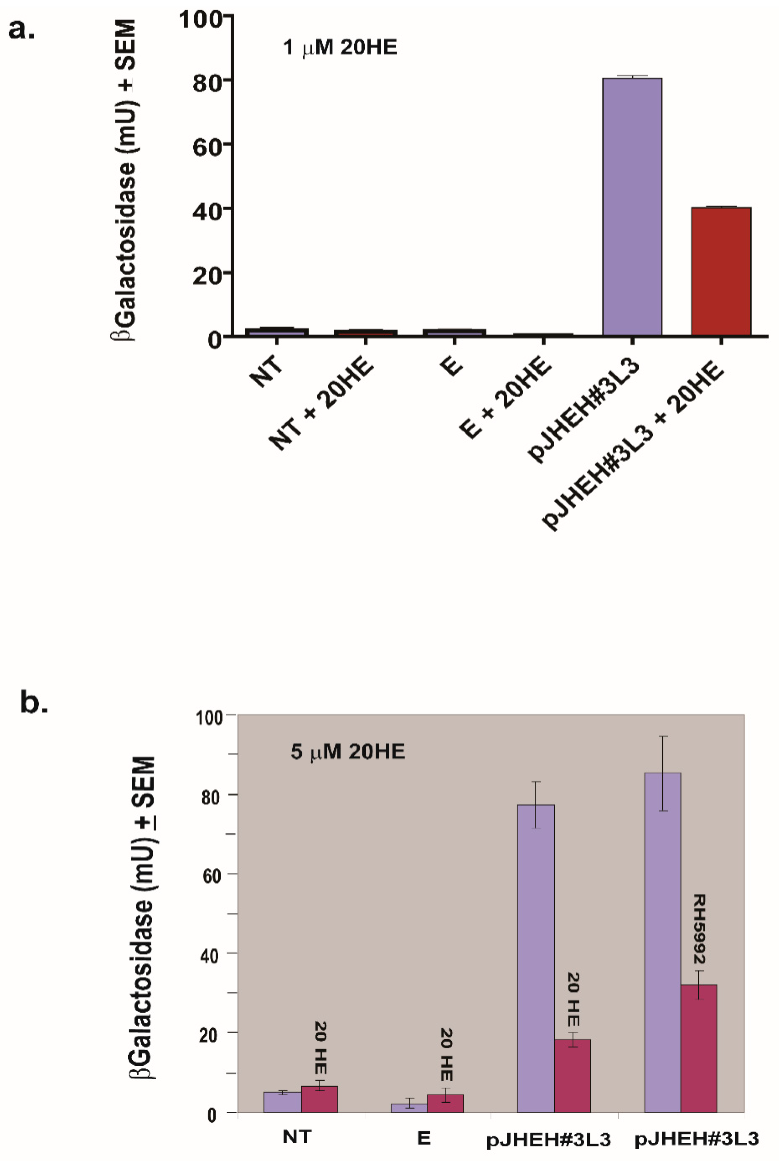 Biomolecules 12 00991 g011