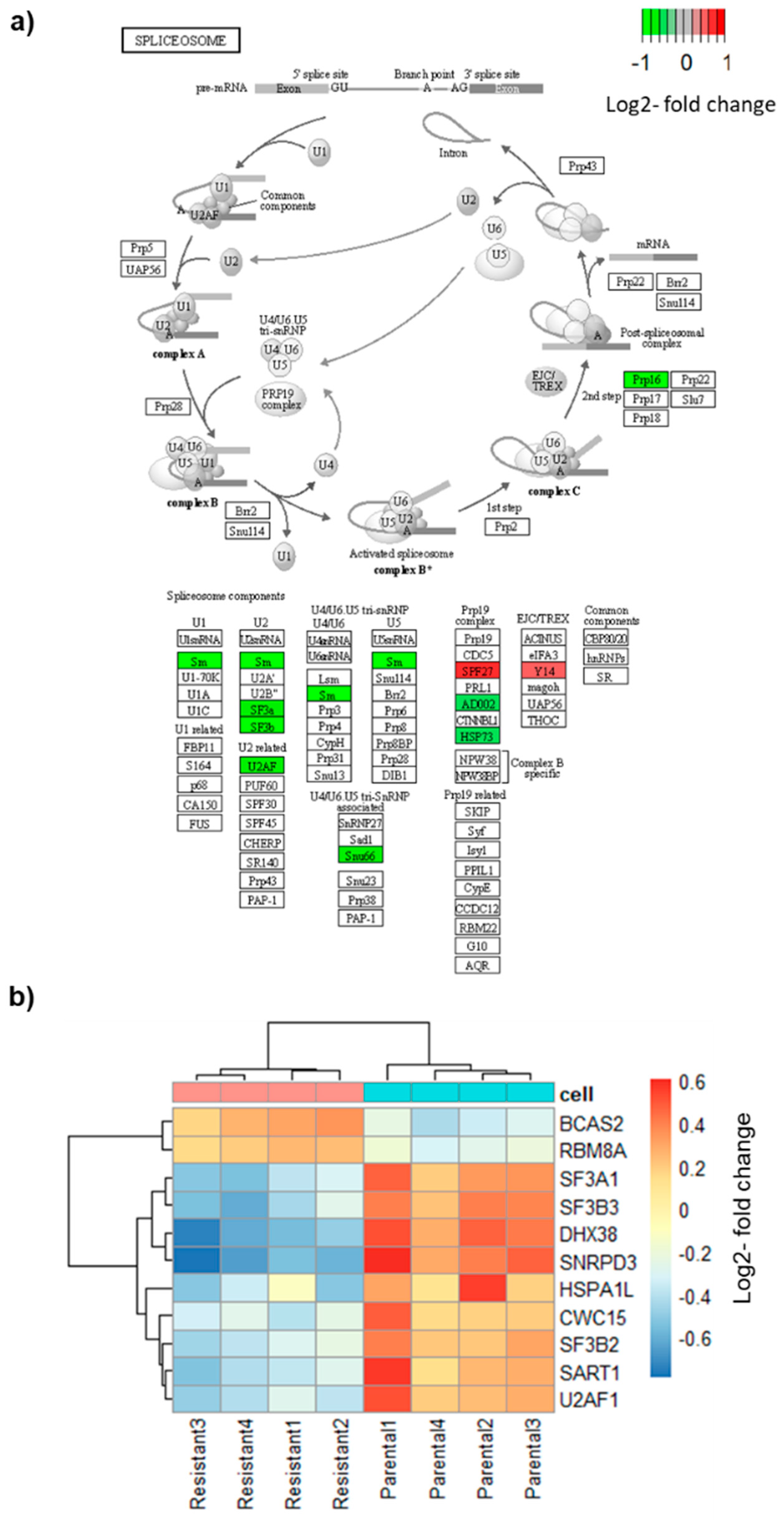Biomolecules 12 00993 g002