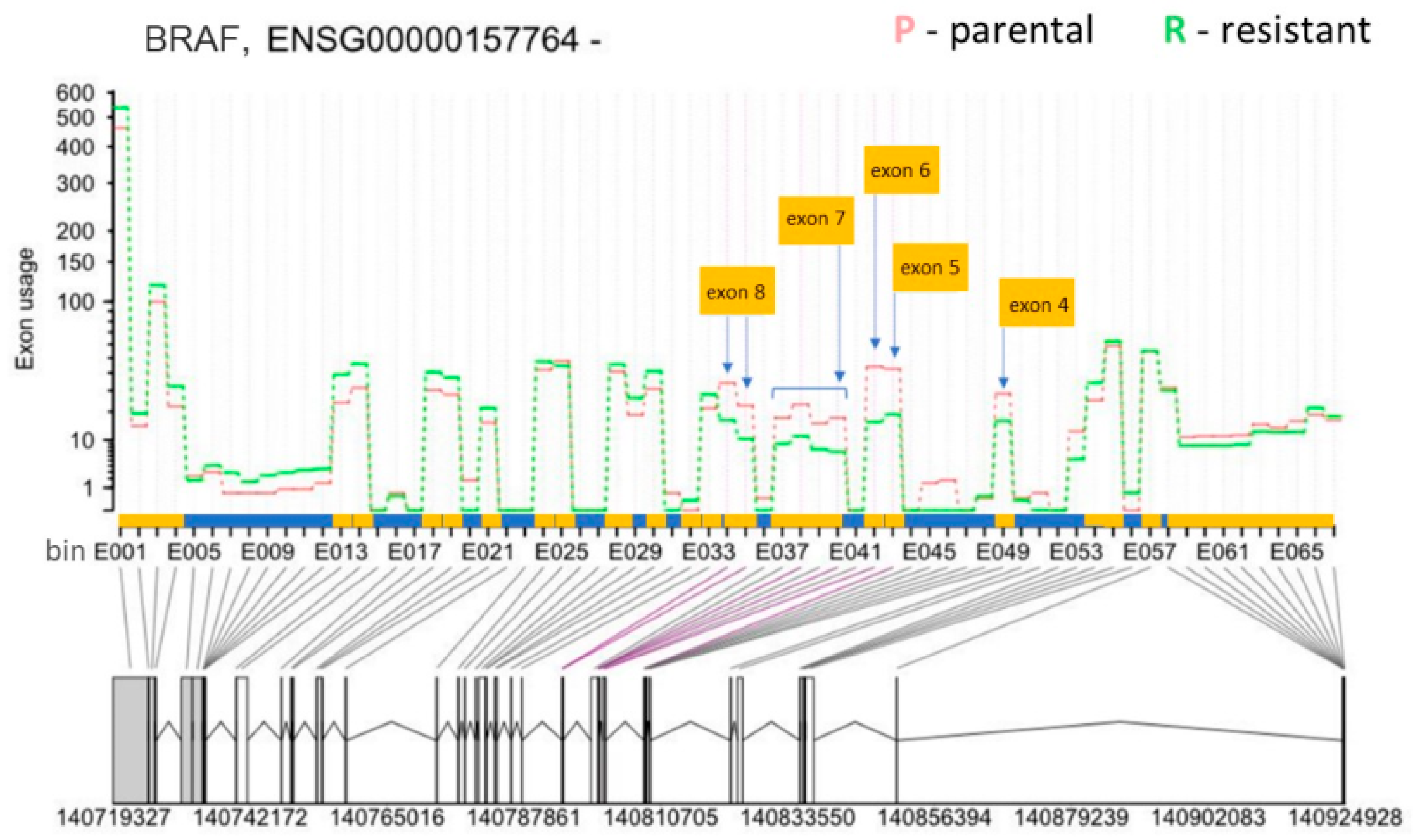 Biomolecules 12 00993 g004