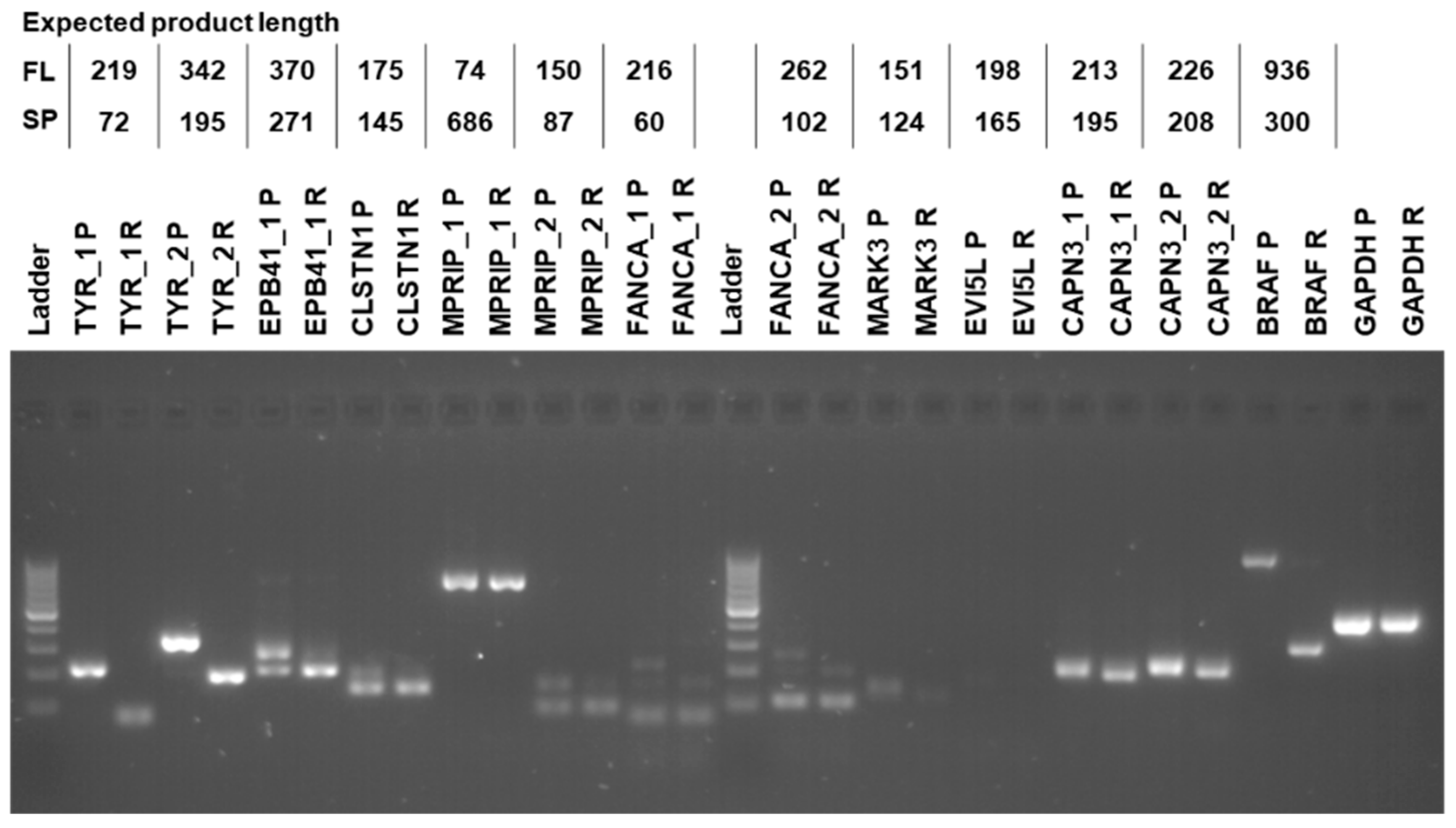 Biomolecules 12 00993 g005