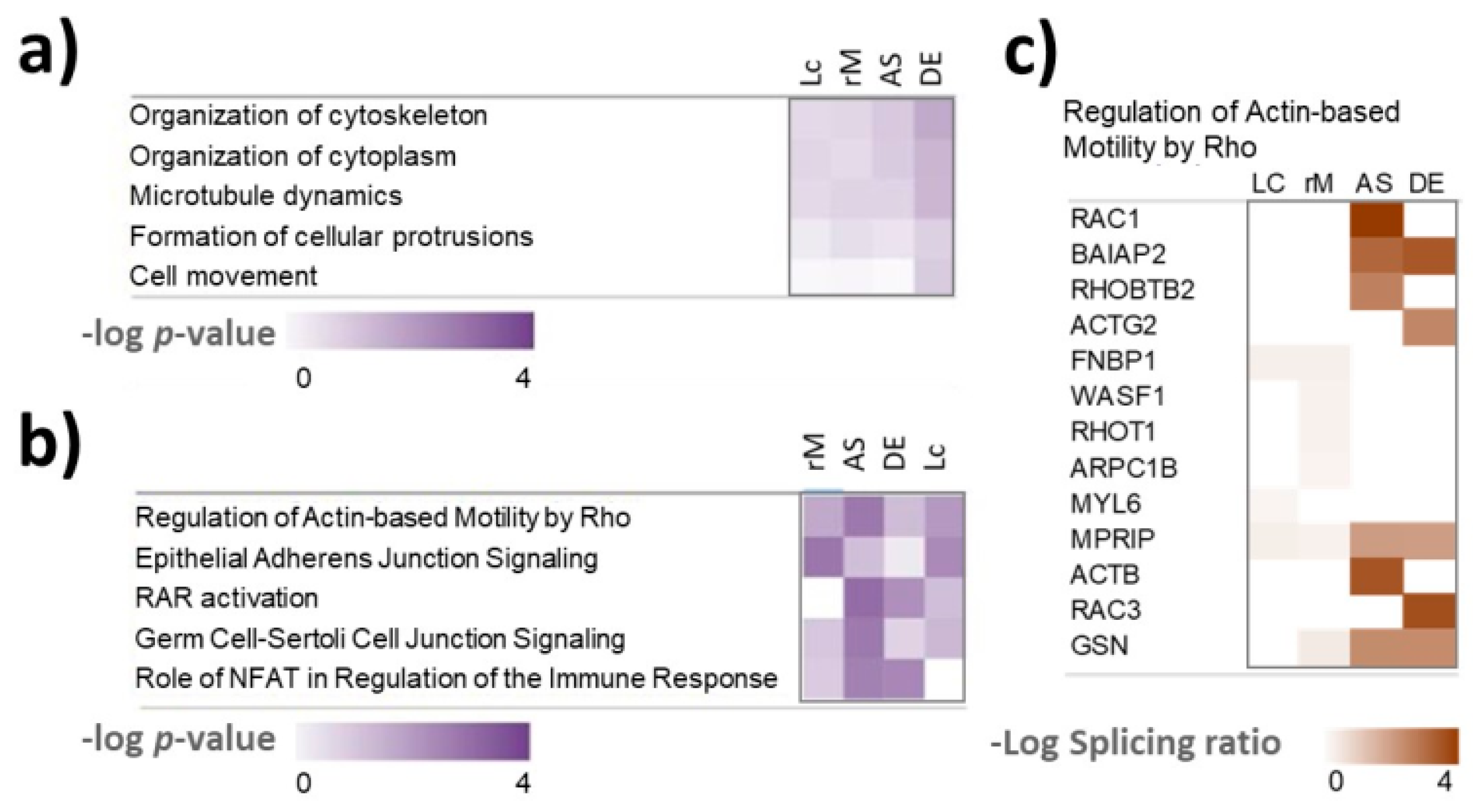 Biomolecules 12 00993 g007