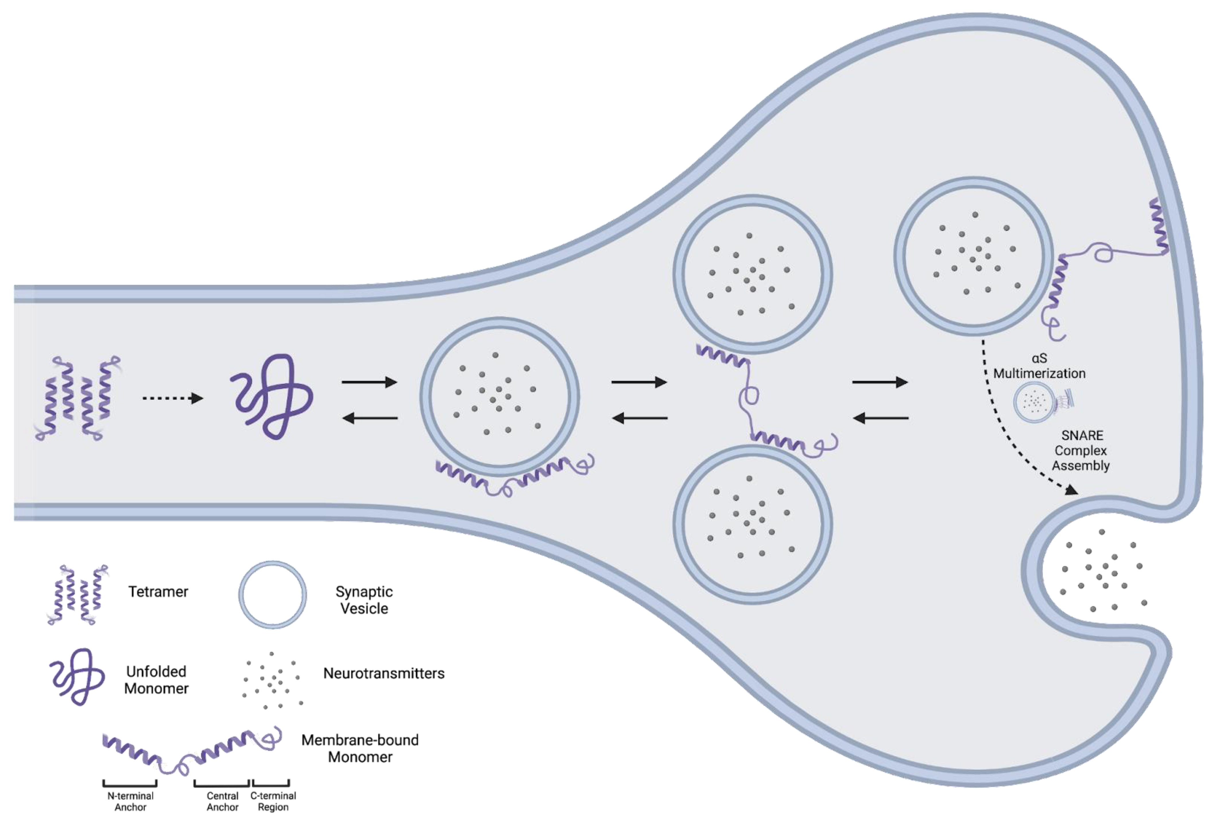 Biomolecules 12 00994 g001